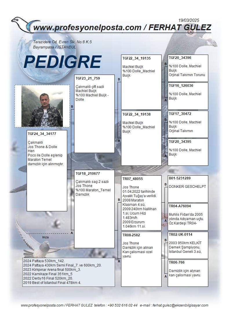 TR24-34-34177 DİŞİ / AARDEN - POCO