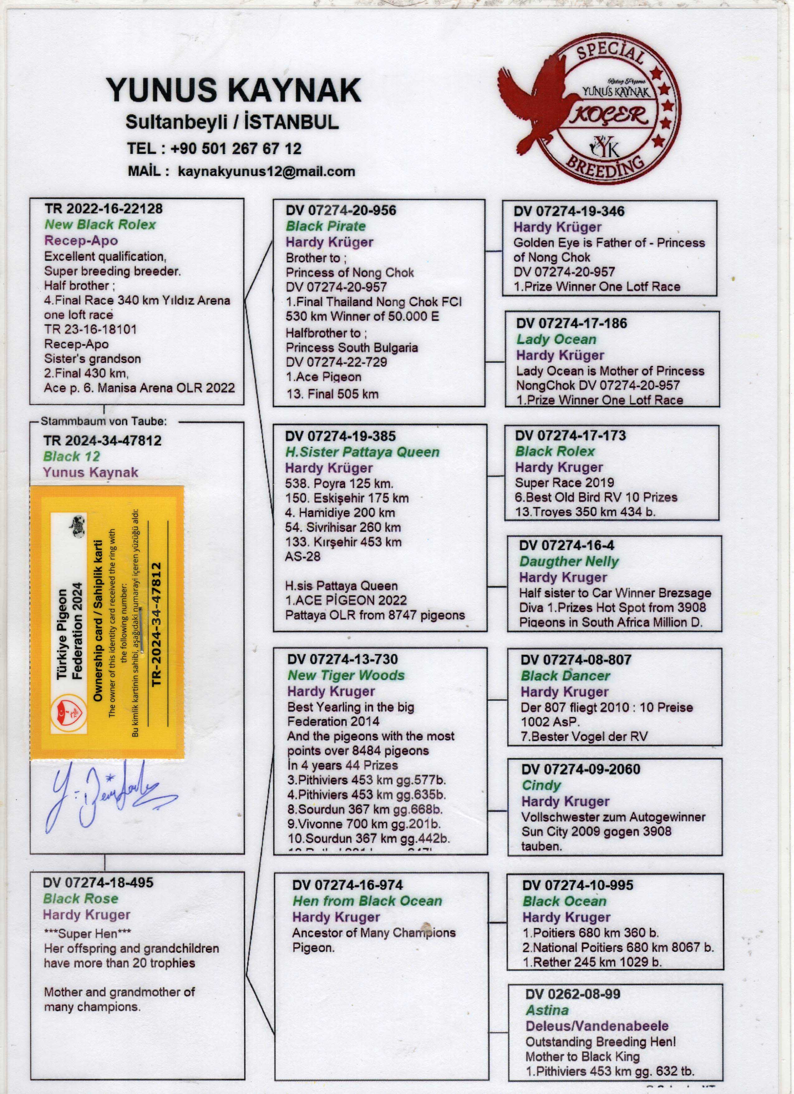 TR24-34-47812 ERKEK /YUNUS KAYNAK   HARDY KRUGER % 100