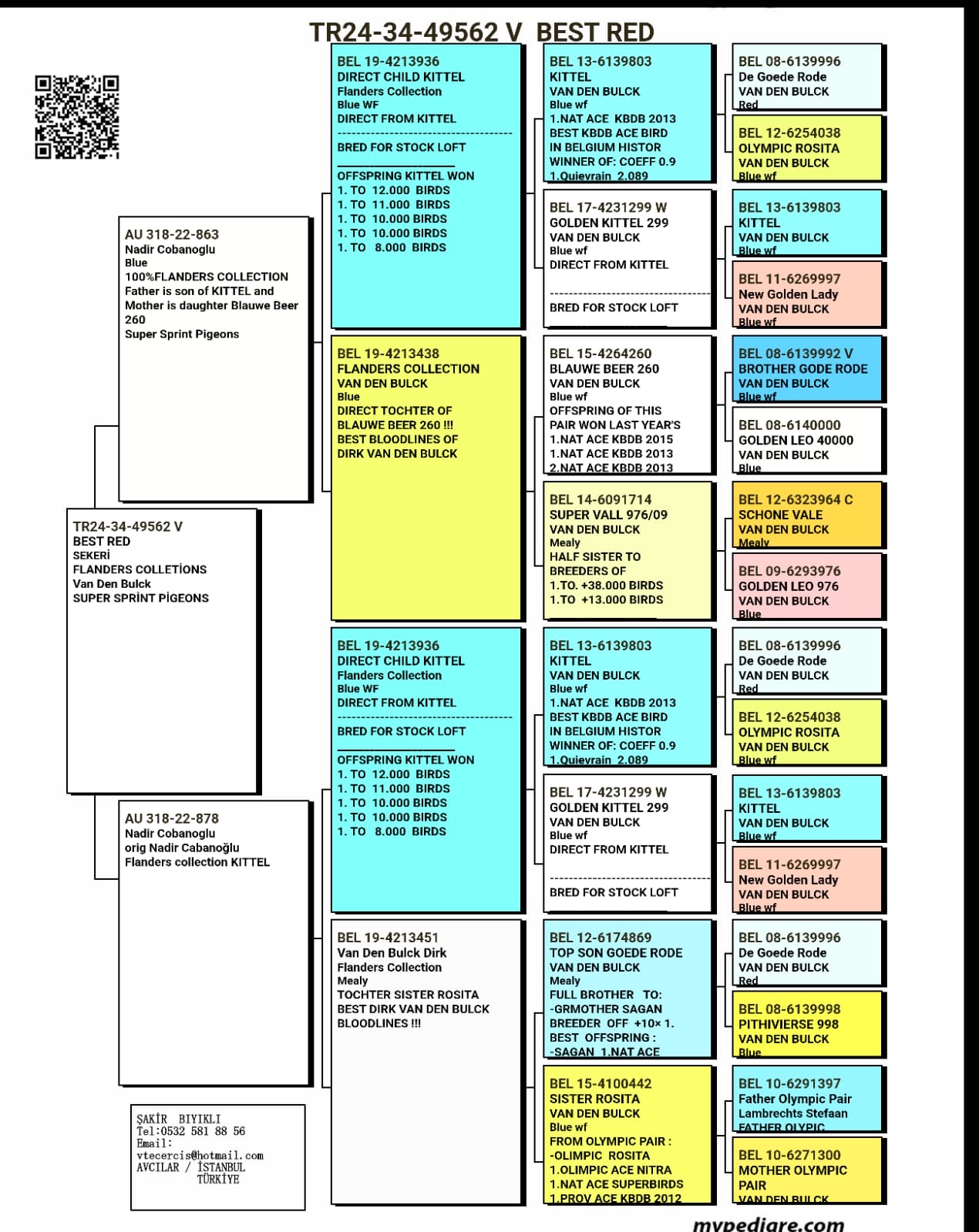 TR24-34-49562 ERKEK / DİRK VAN DE BLUCK % 100 ( KITTEL )