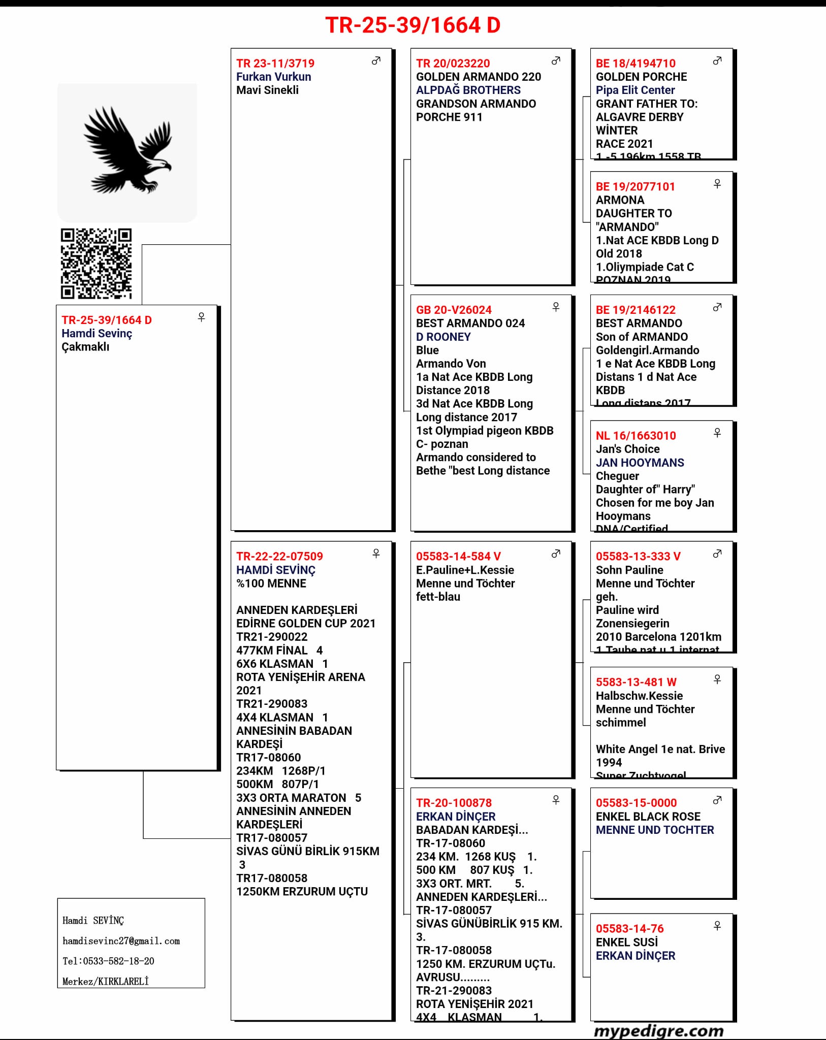 TR24-39-1664 DİŞİ / BABA SOYU GOLDEN PRINCE - ARMANDO ANNESİ MENNE