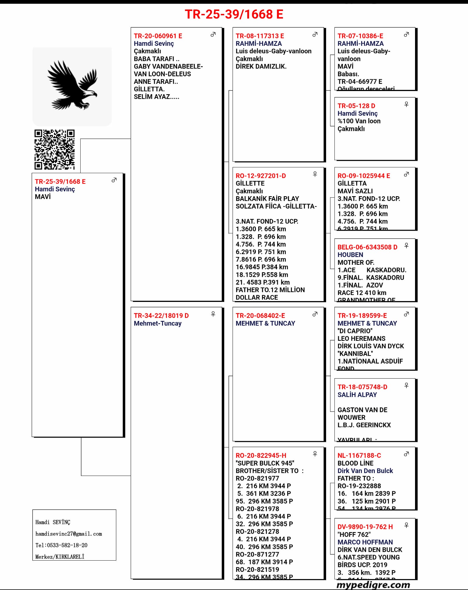 TR24-39-1668 ERKEK /  GABY - VAN LOON  - DELEUS
