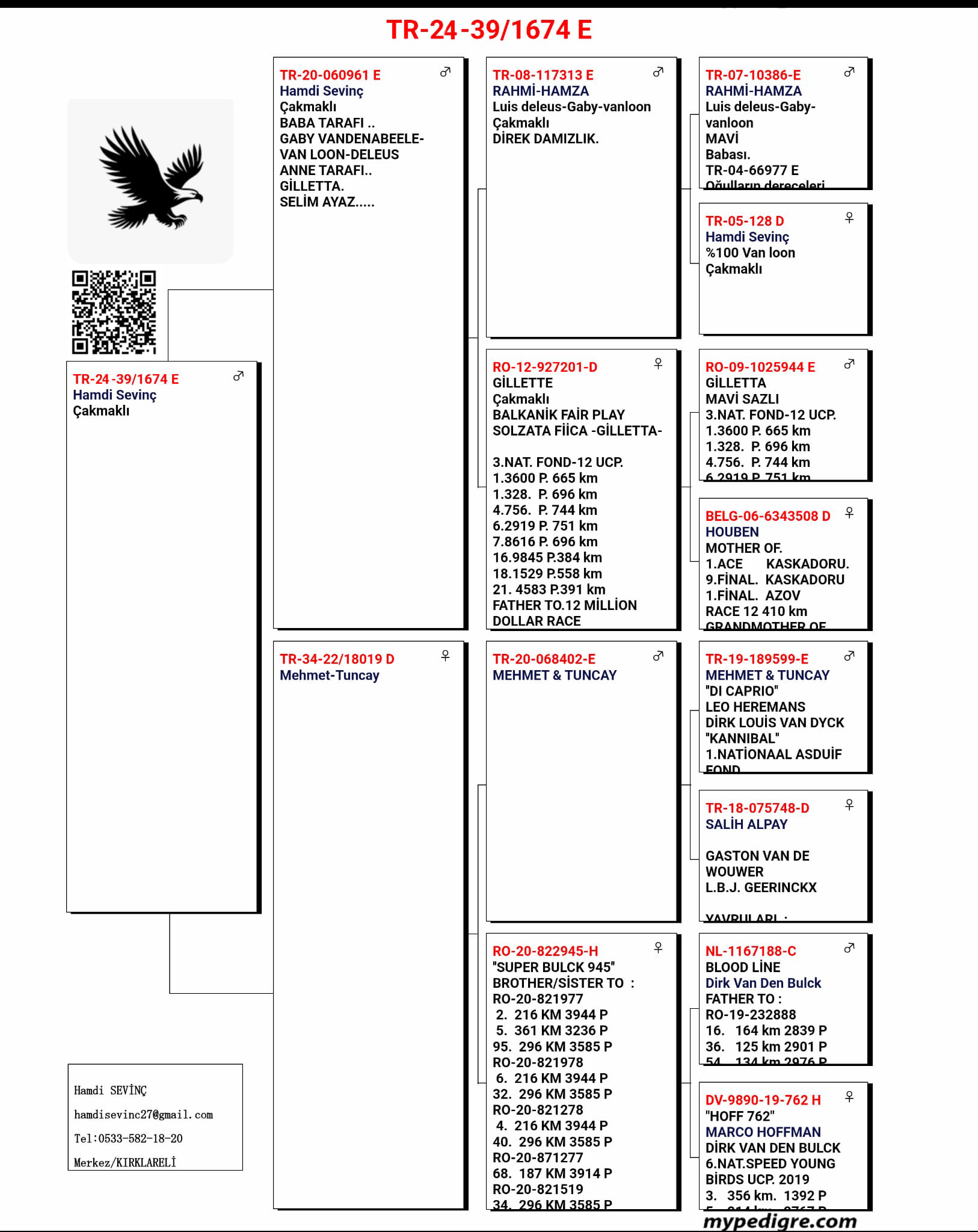 TR24-39-1674  ERKEK / BABASI VAN LOON - GABY - DELEUS 
