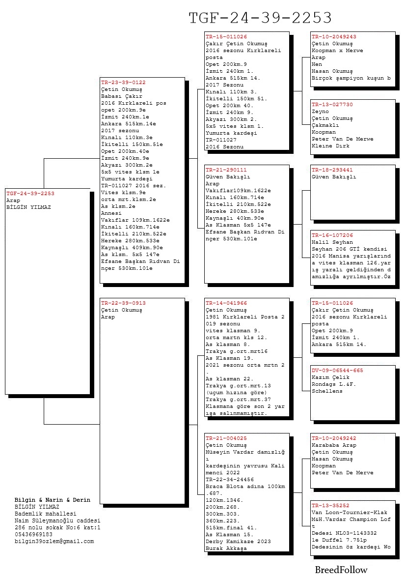 TR24-39-2253 DİŞİ / KOOPMAN X MERVE