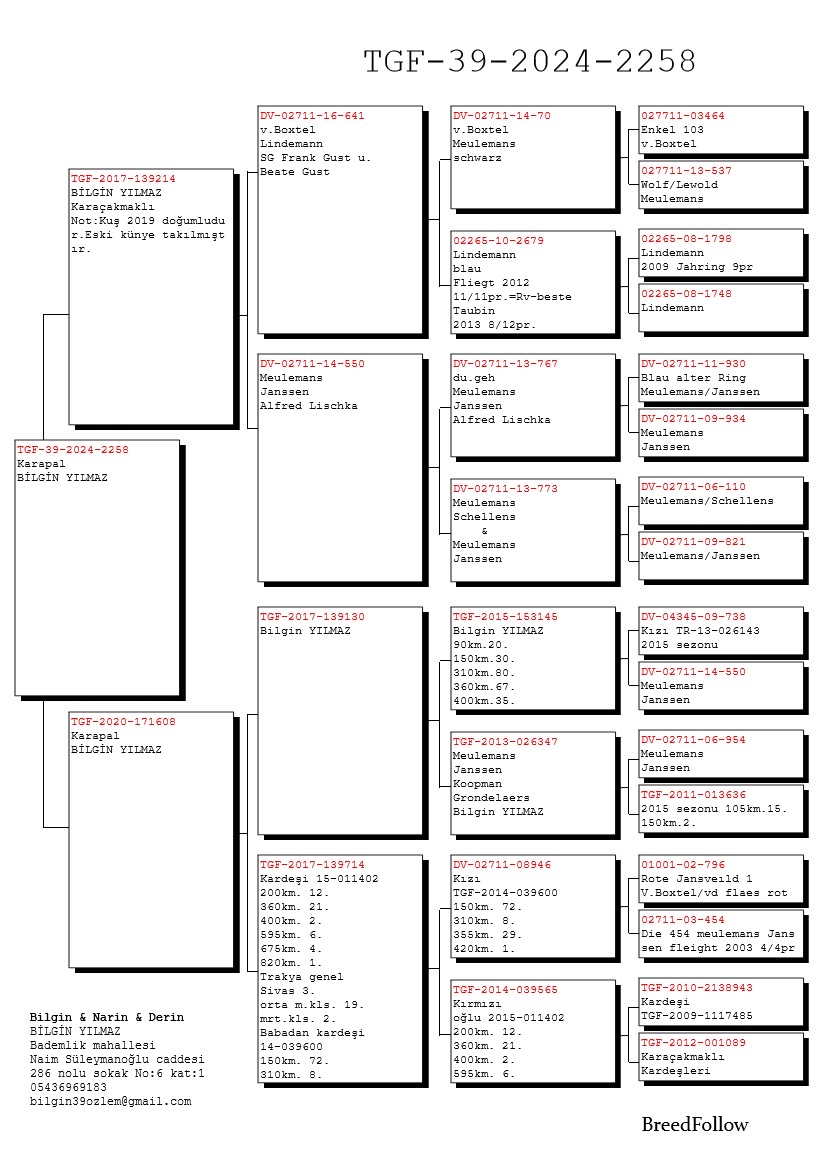 TR24-39-2258 / ANNESNİN KARDEŞİ 1  820 KM - 4  675 KM 