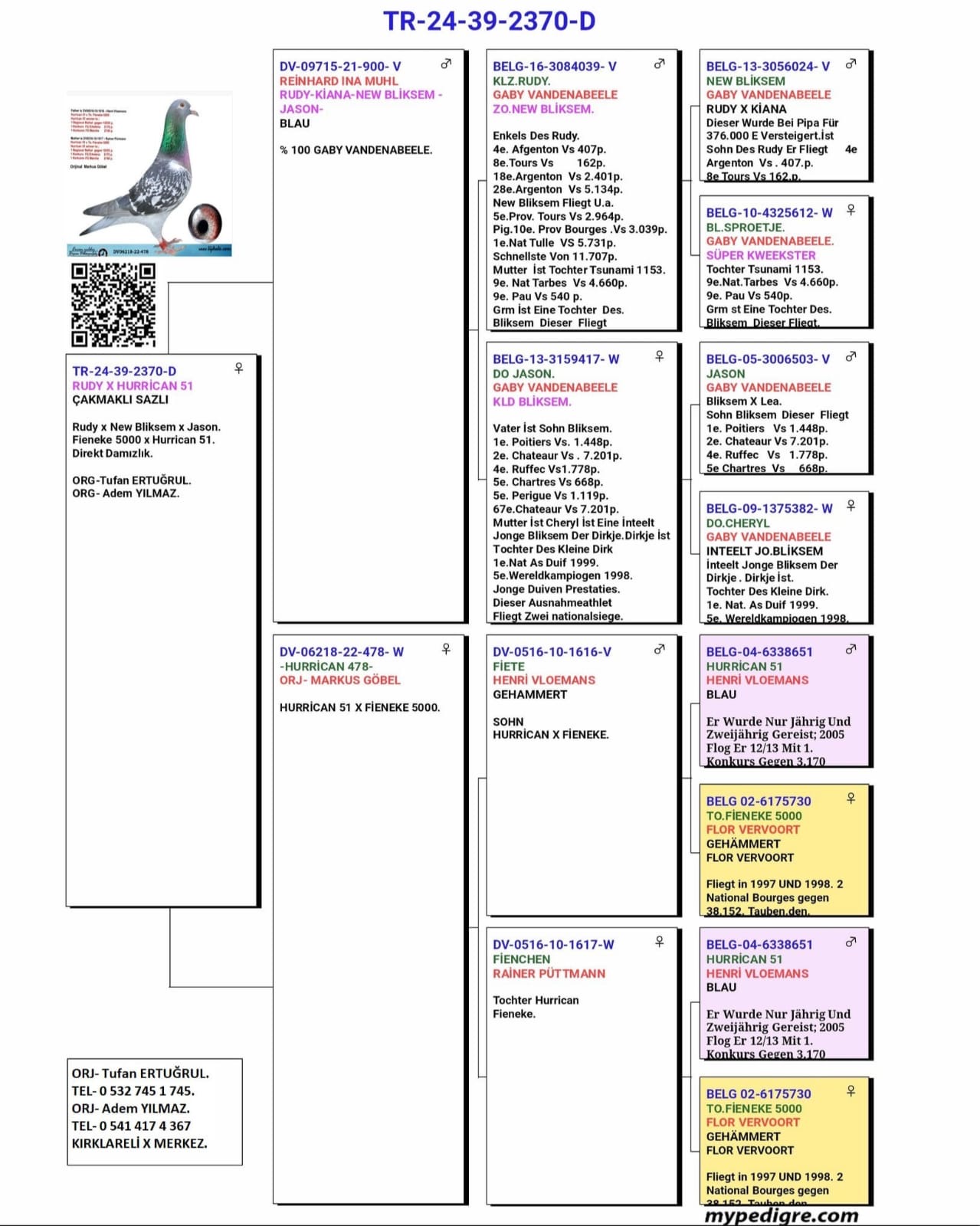 TR24-39-2370 DİŞİ / BABASI GABY VANDENABEELE ANNESİ FİENEKE X HURRİCAN 51