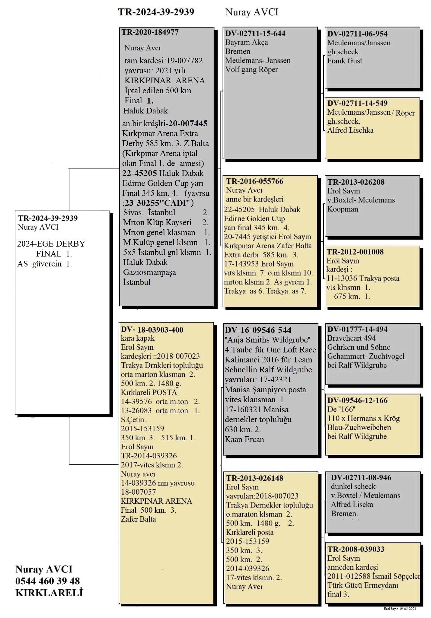 TR24-39-2939 SPECIAL DİŞİ  / 1 FİNAL  & 1 ACE PİGEON 2024 EGE DERBY