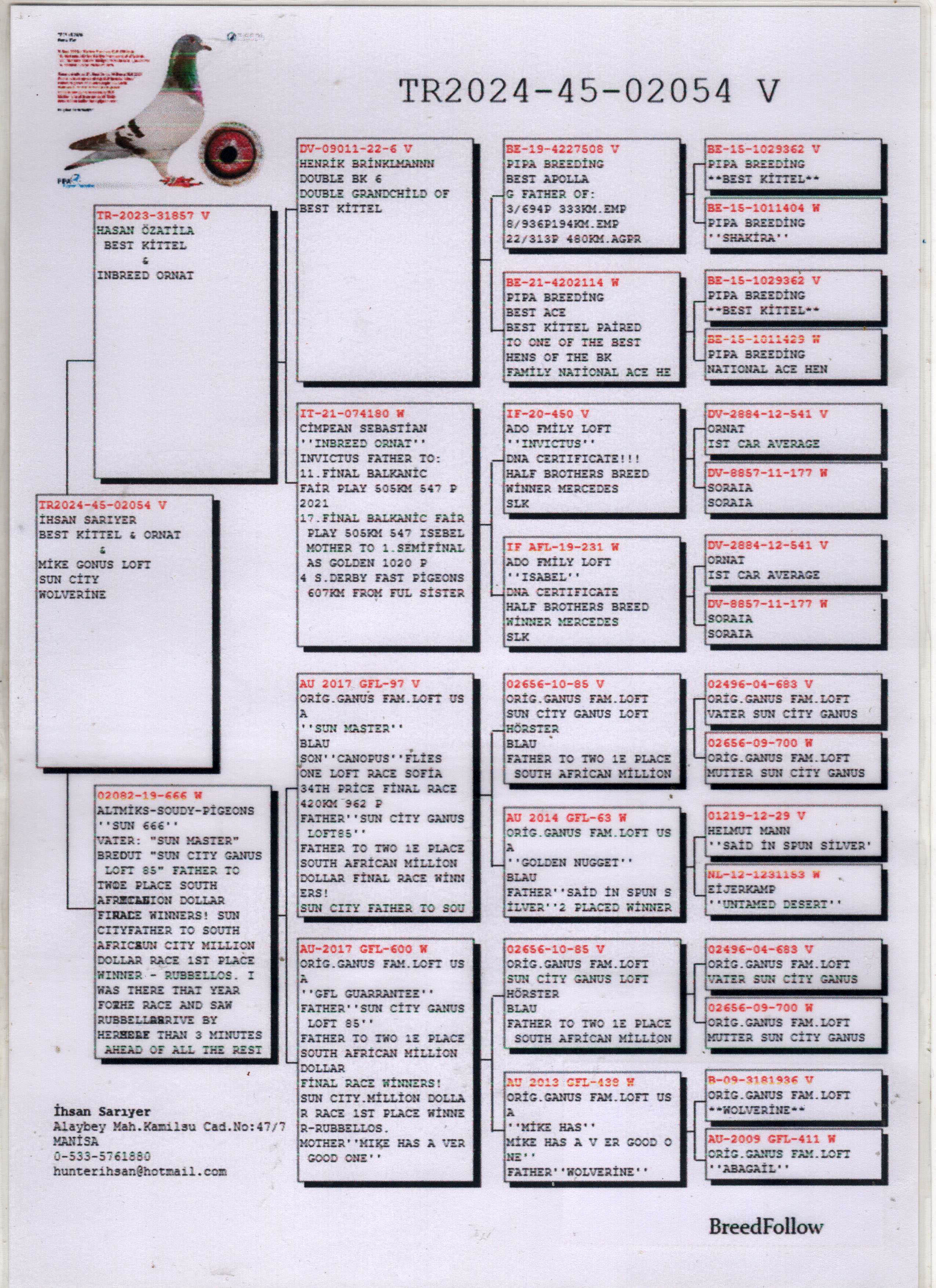 TR24-45-02054 ERKEK / BEST KITTEL - ORNAT - MİKE GANUS