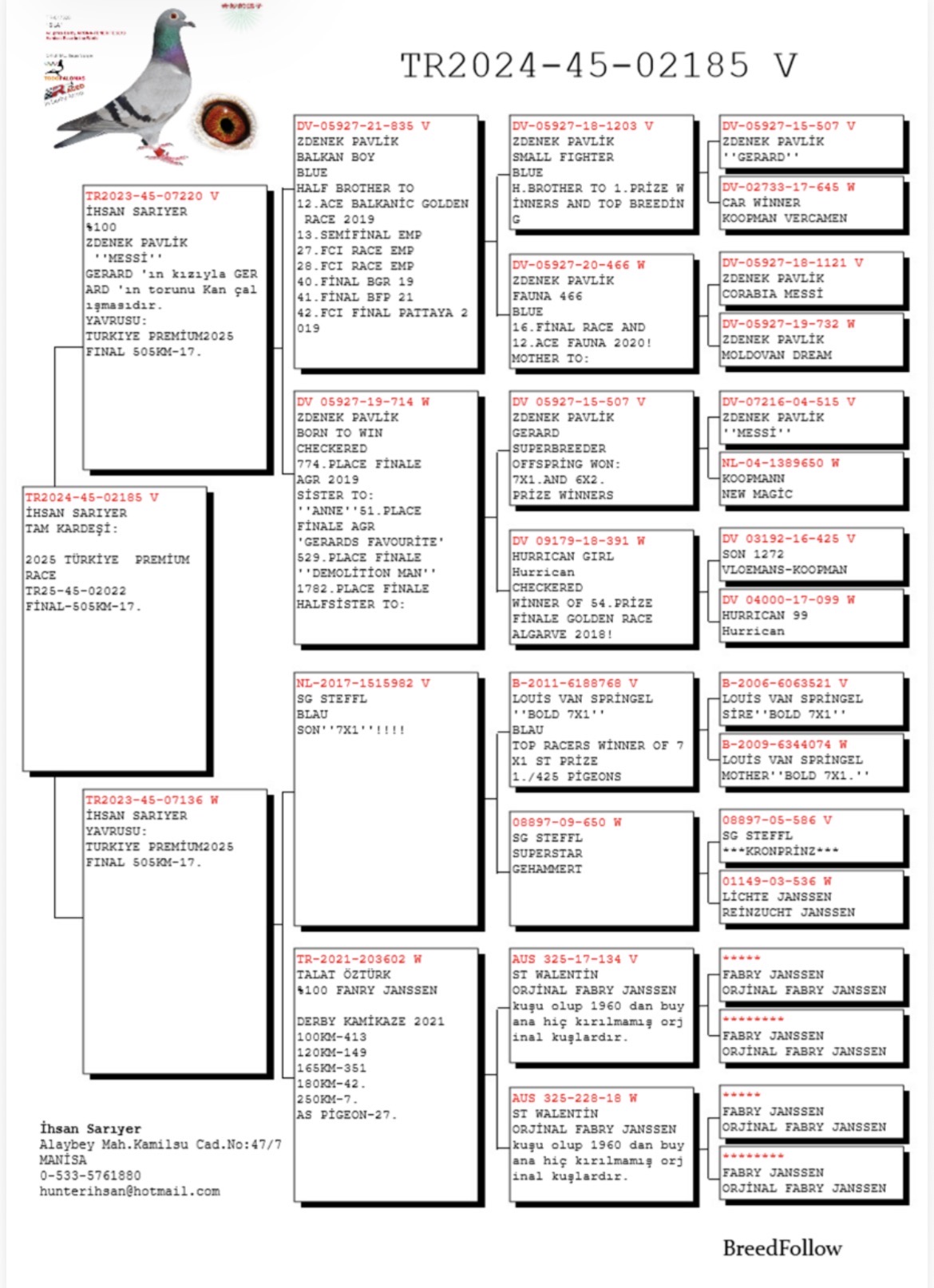 TR24-45-02185 ERKEK / KARDEŞİ PREMIUM FİNAL 17