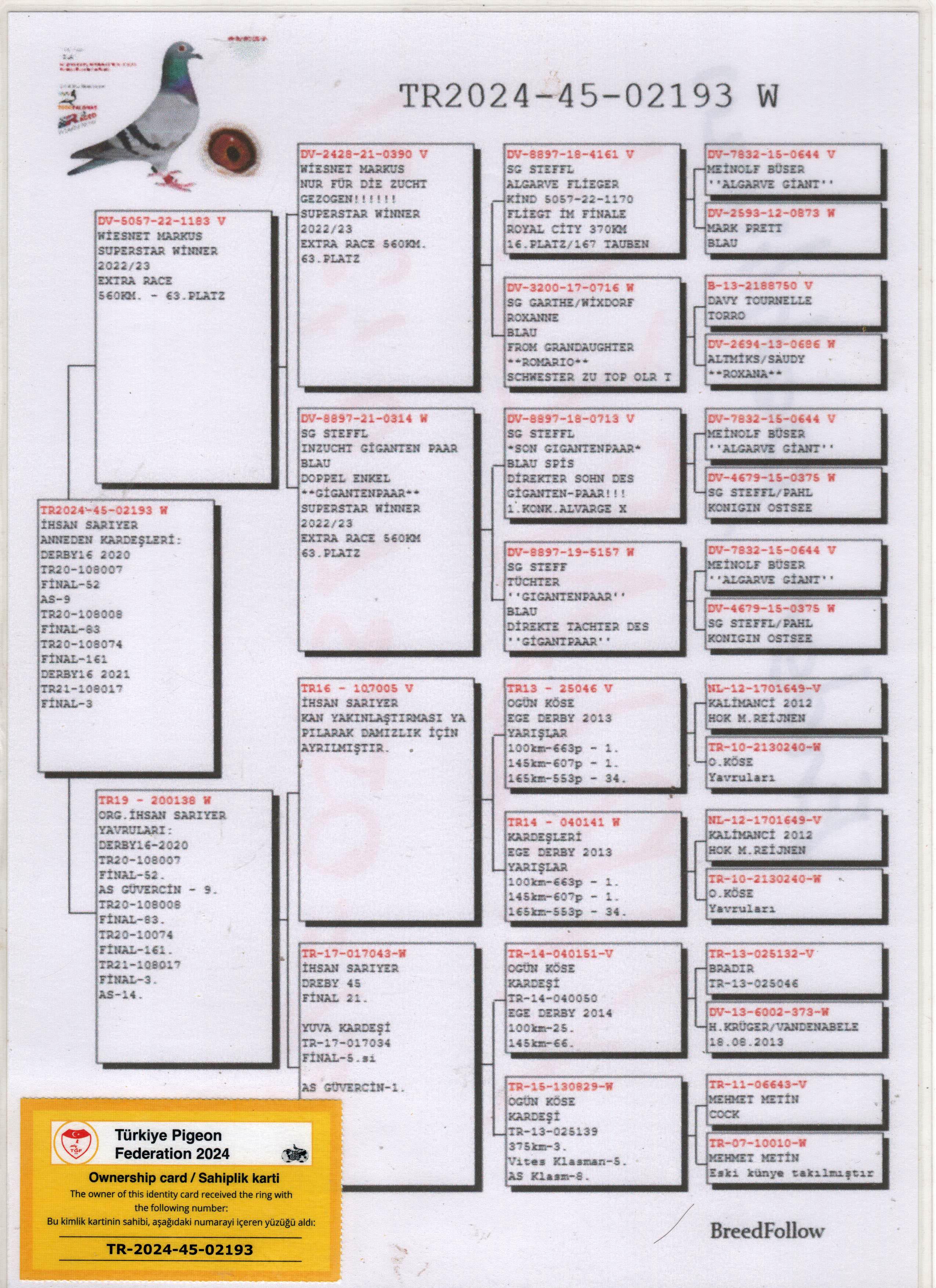 TR24-45-02193 DİŞİ / BABASI 63 FİNAL EXTRA FİNAL