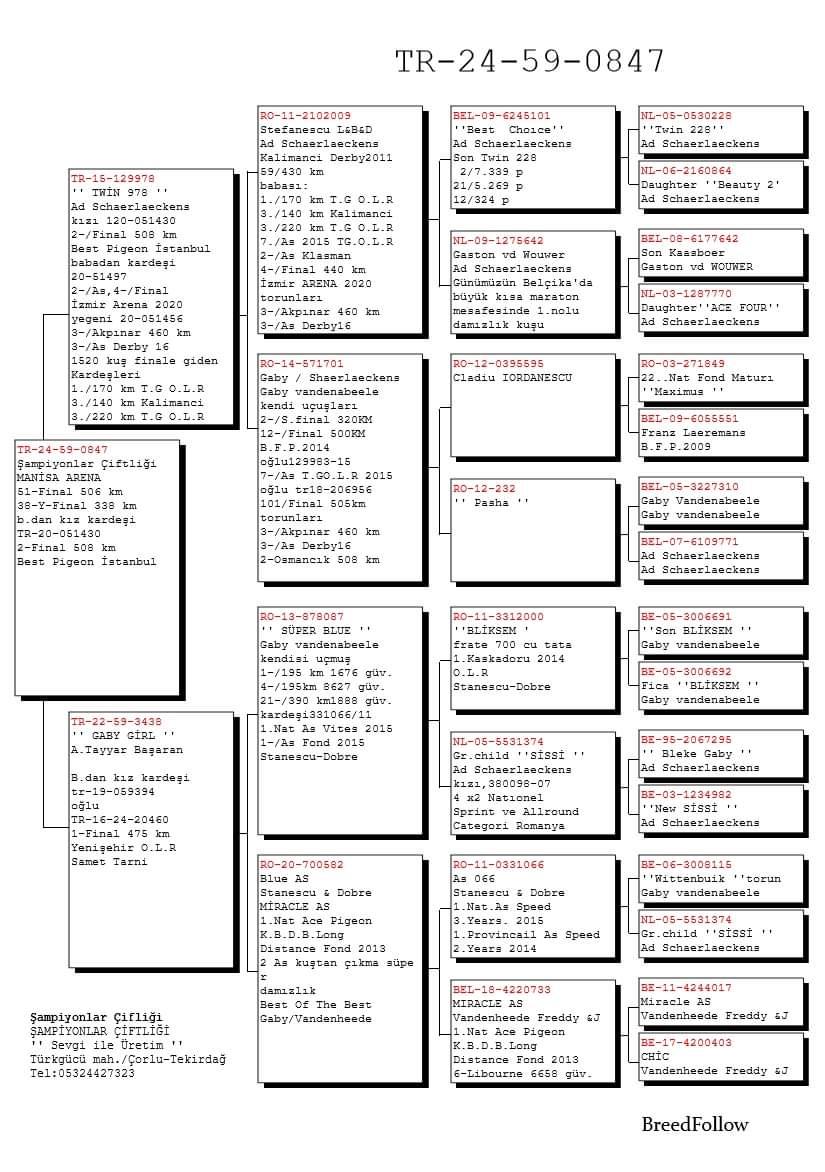 TR24-59-0847 ERKEK / KENDİSİ 51 FİNAL & 32 AS KLASMAN MANİSA ARENA