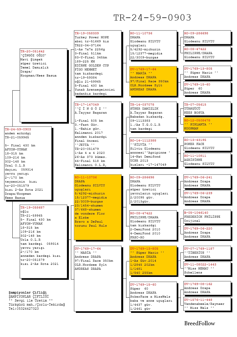 TR24-59-0903 ERKEK / ANNEDEN KARDEŞİ  5 FİNAL 430 URLA