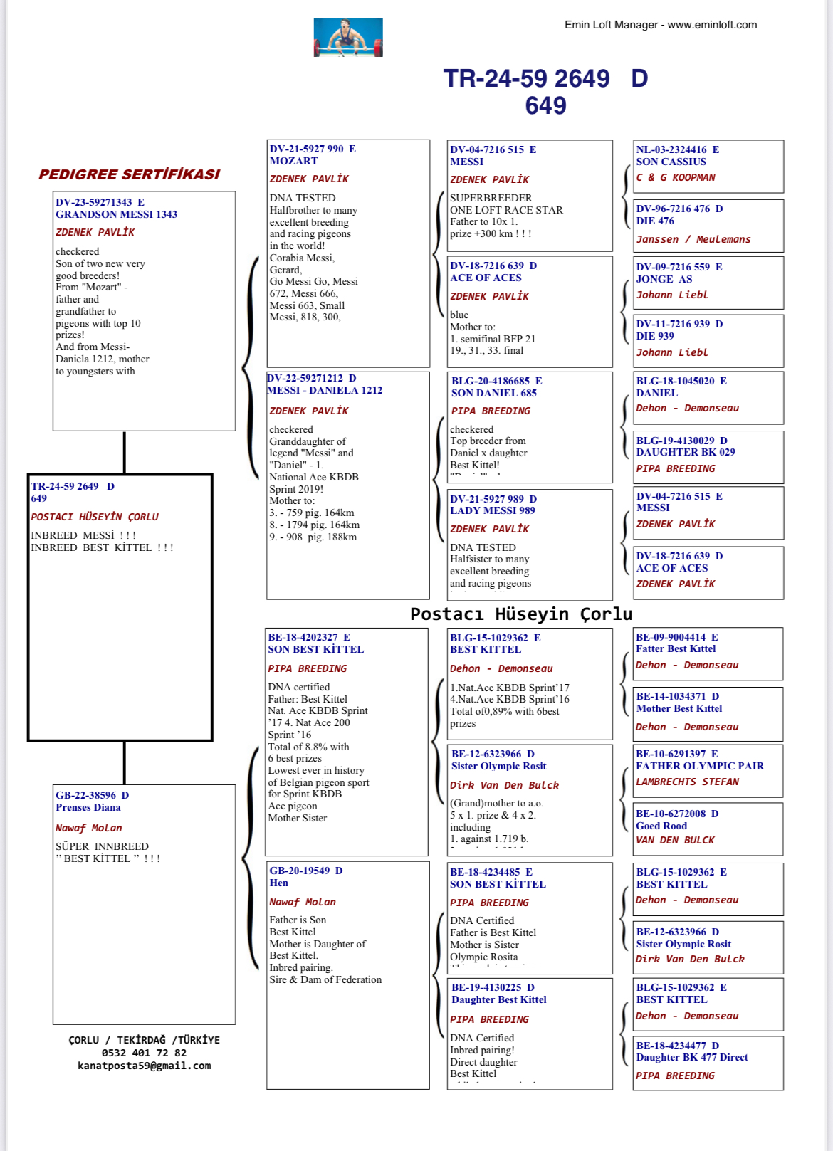 TR24-59-2649 DİŞİ /  MESSI - BEST KITTEL