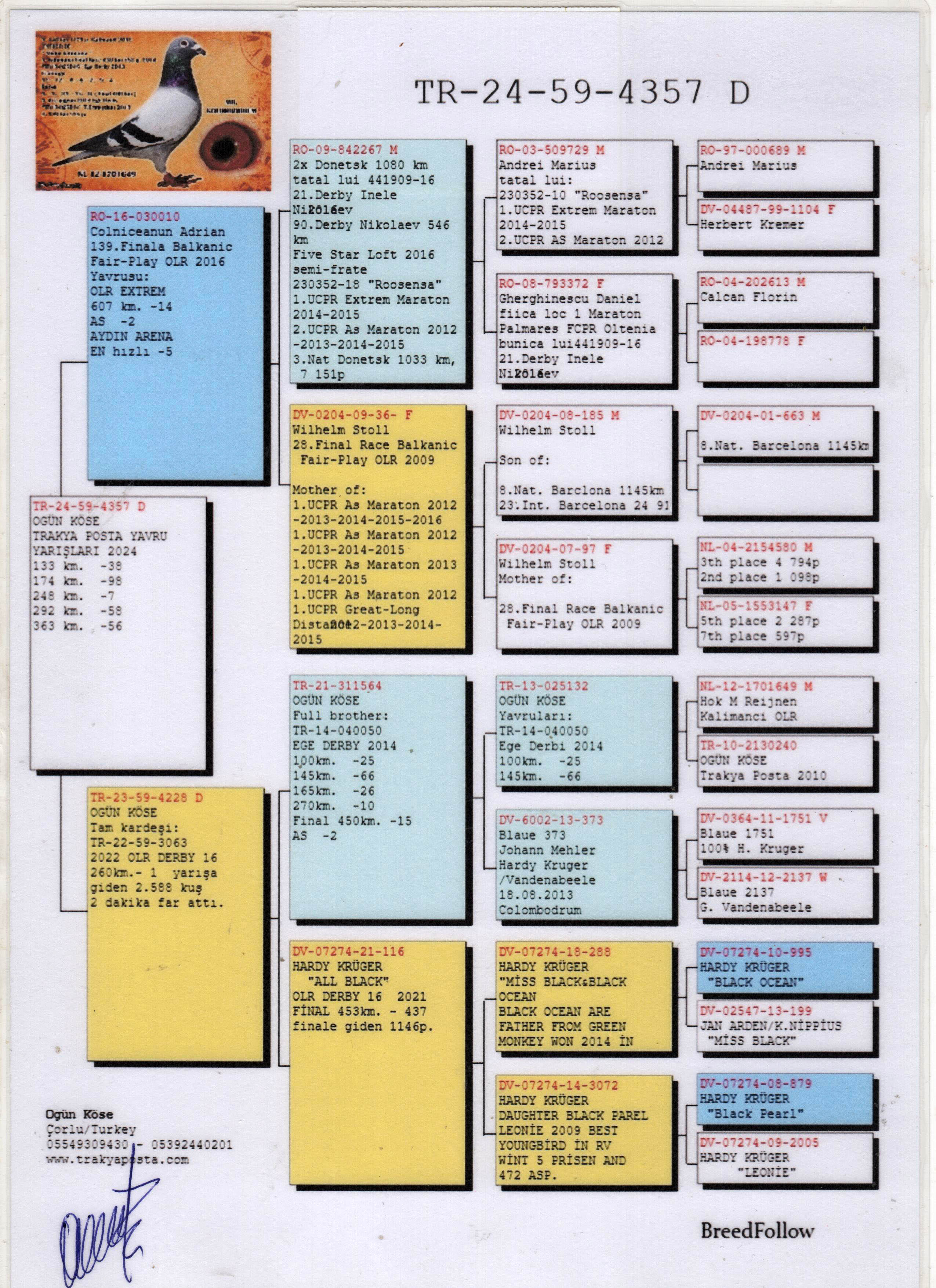 TR24-59-4357 DİŞİ / KENDİSİ YARIŞMIŞTIR TRAKYA POSTA 