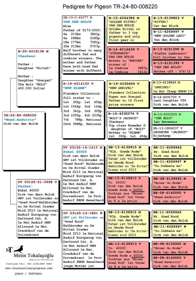 TR24-80-008220 ERKEK / KITTEL SOYU 