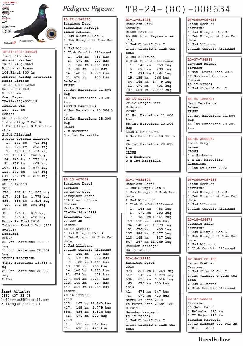 TR24-80-008634 ERKEK/ BABASININ KARDESI BLACK PANTHER