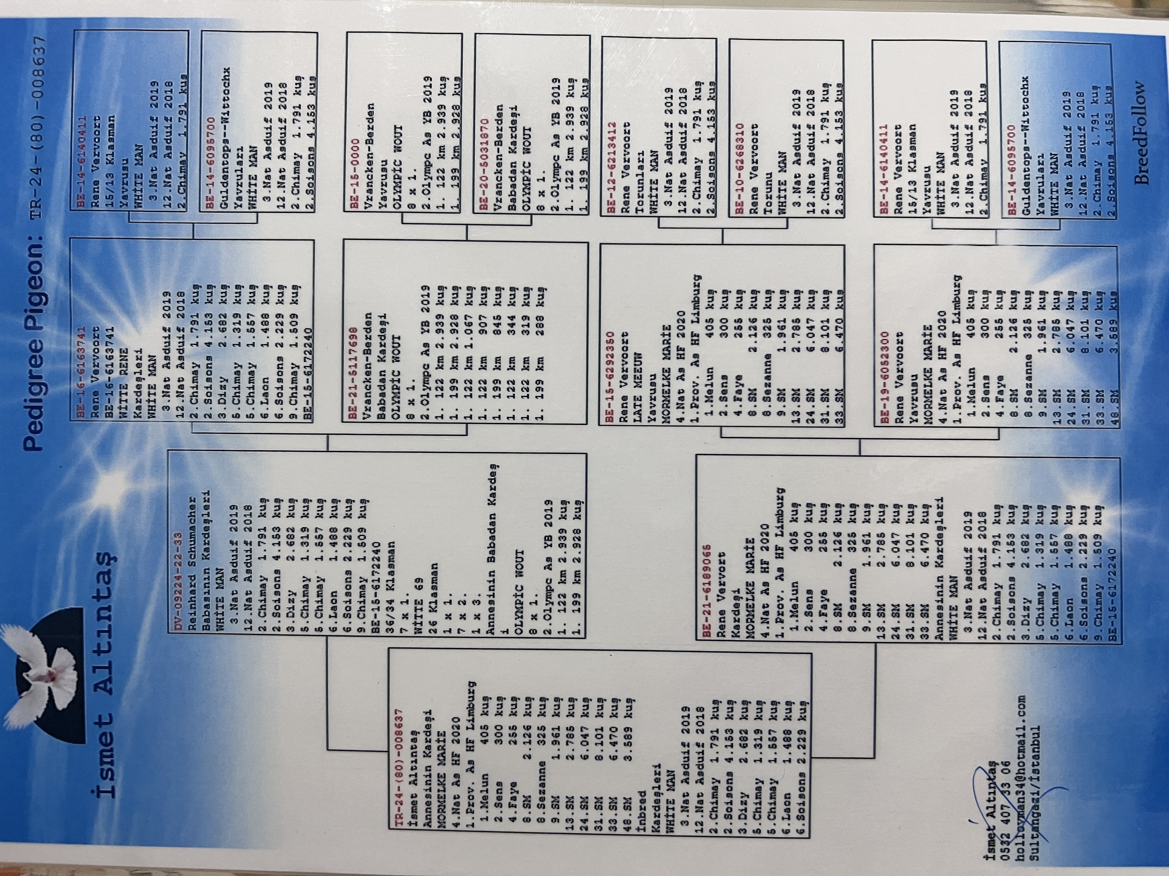 TR24-80-008637 ERKEK / WHITE MAN SOYU