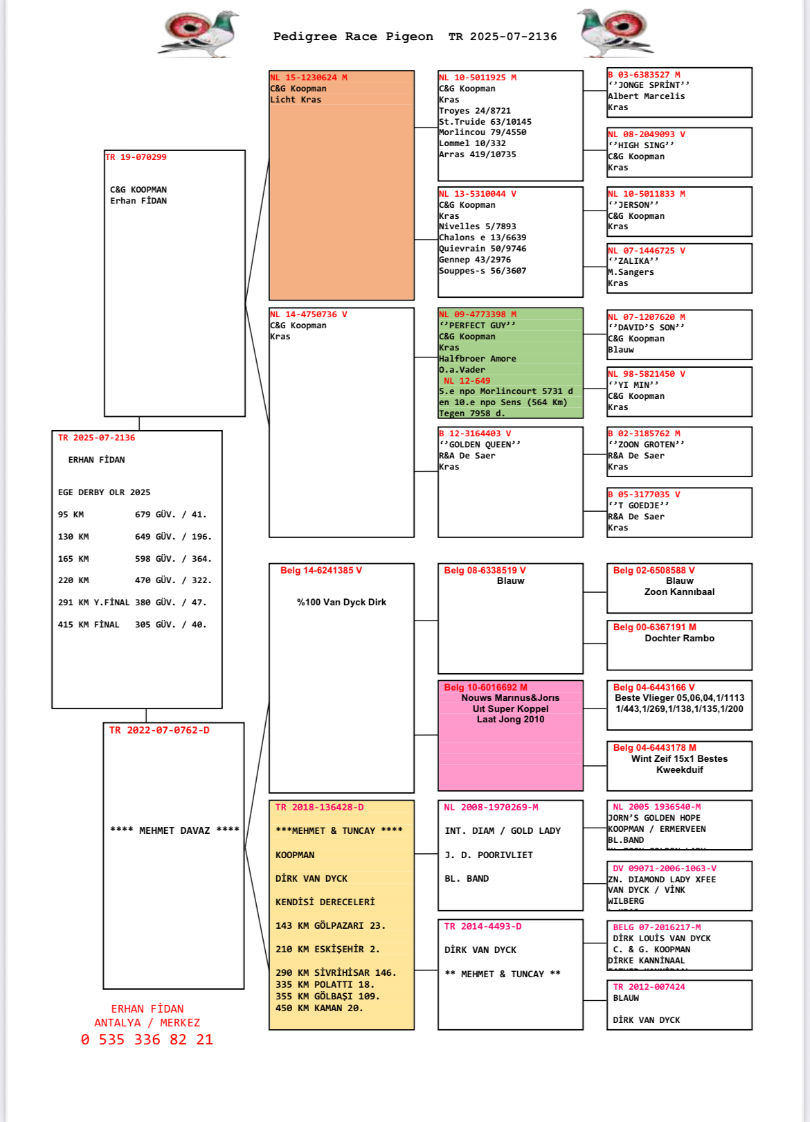 TR25-07-2136 / ERKAN FİDAN - 40 FİNAL & 64 AS 