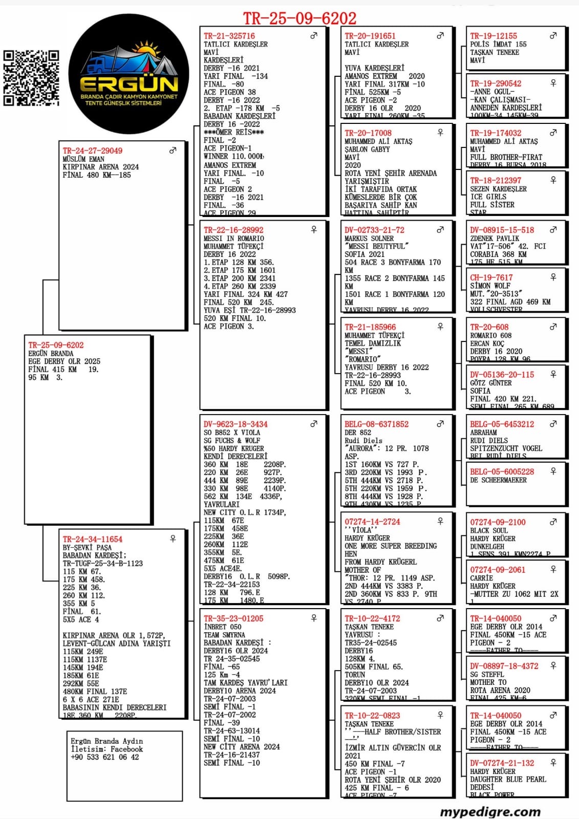 TR25-09-6202 / LEVENT ERGÜN & SERKAN AY - 19 FİNAL 