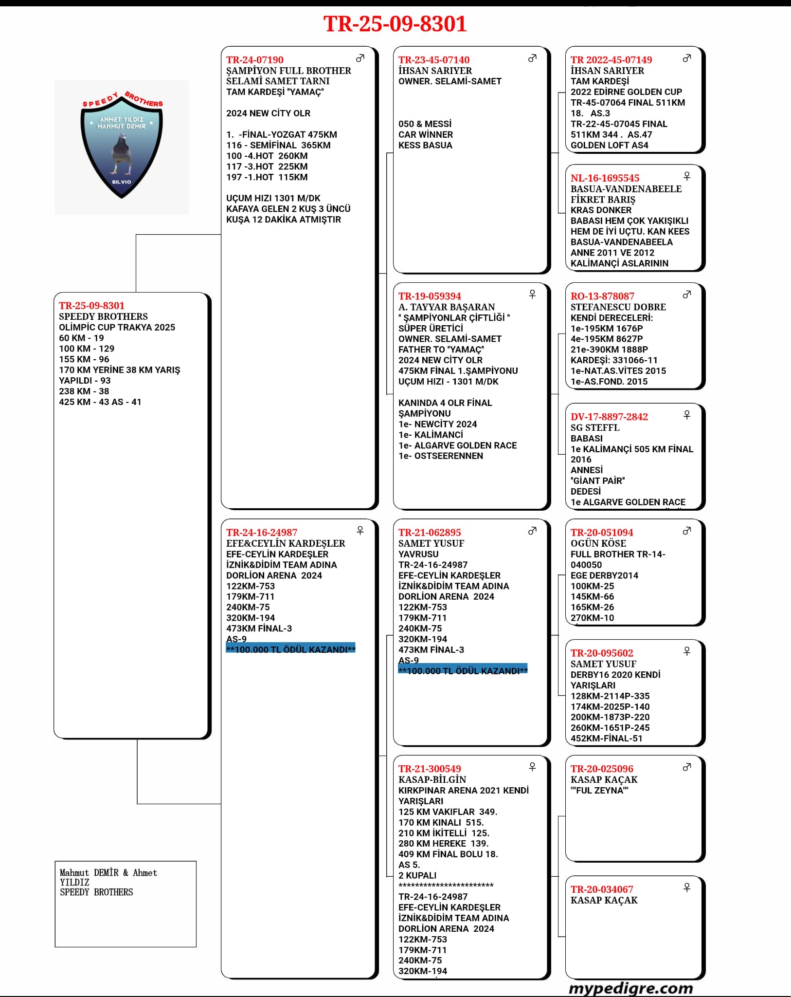 TR25-09-8301 / SPEEDY BROTHERS - 43 FİNAL 425 KM & 46 AS