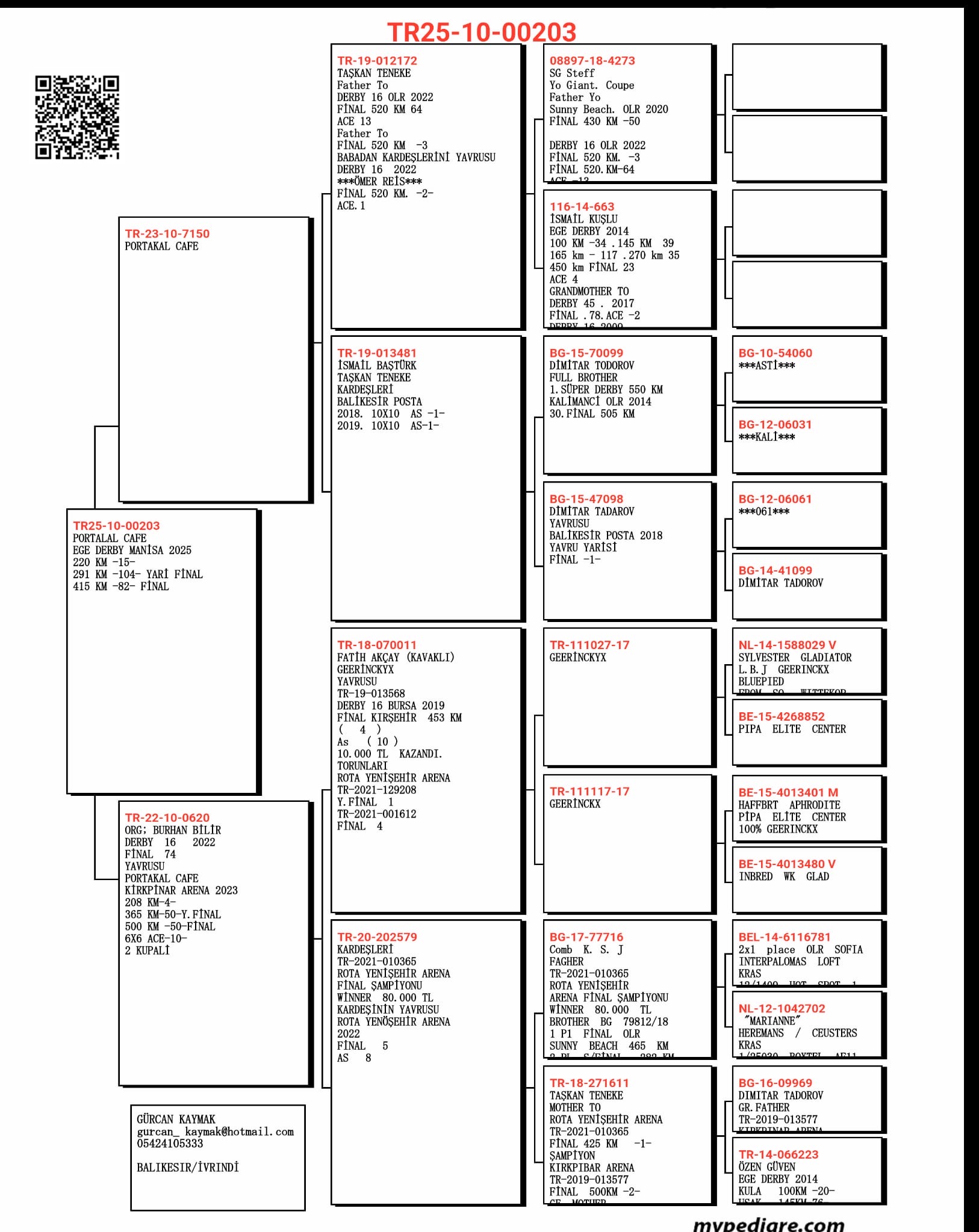 TR25-10-00203 / PORTAKAL CAFE  - 82 FİNAL & 81 AS