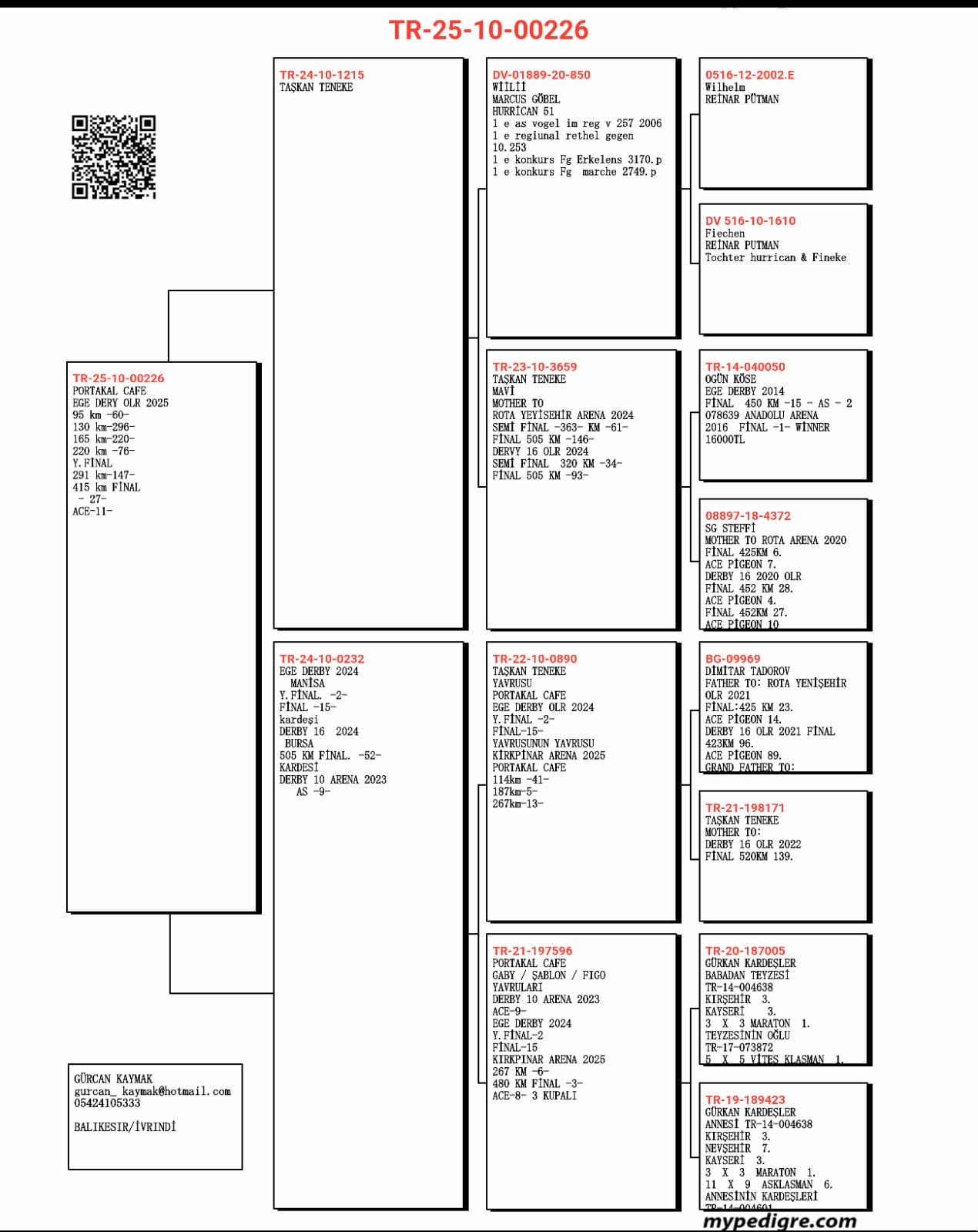 TR25-10-00226 / PORTAKAL CAFE - 27 FİNAL 