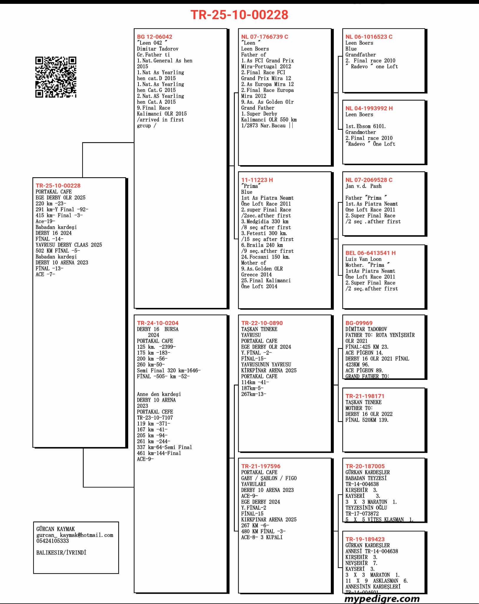 TR25-10-00228 / PORTAKAL CAFE - 3 FİNAL 415 KM & 19 AS 