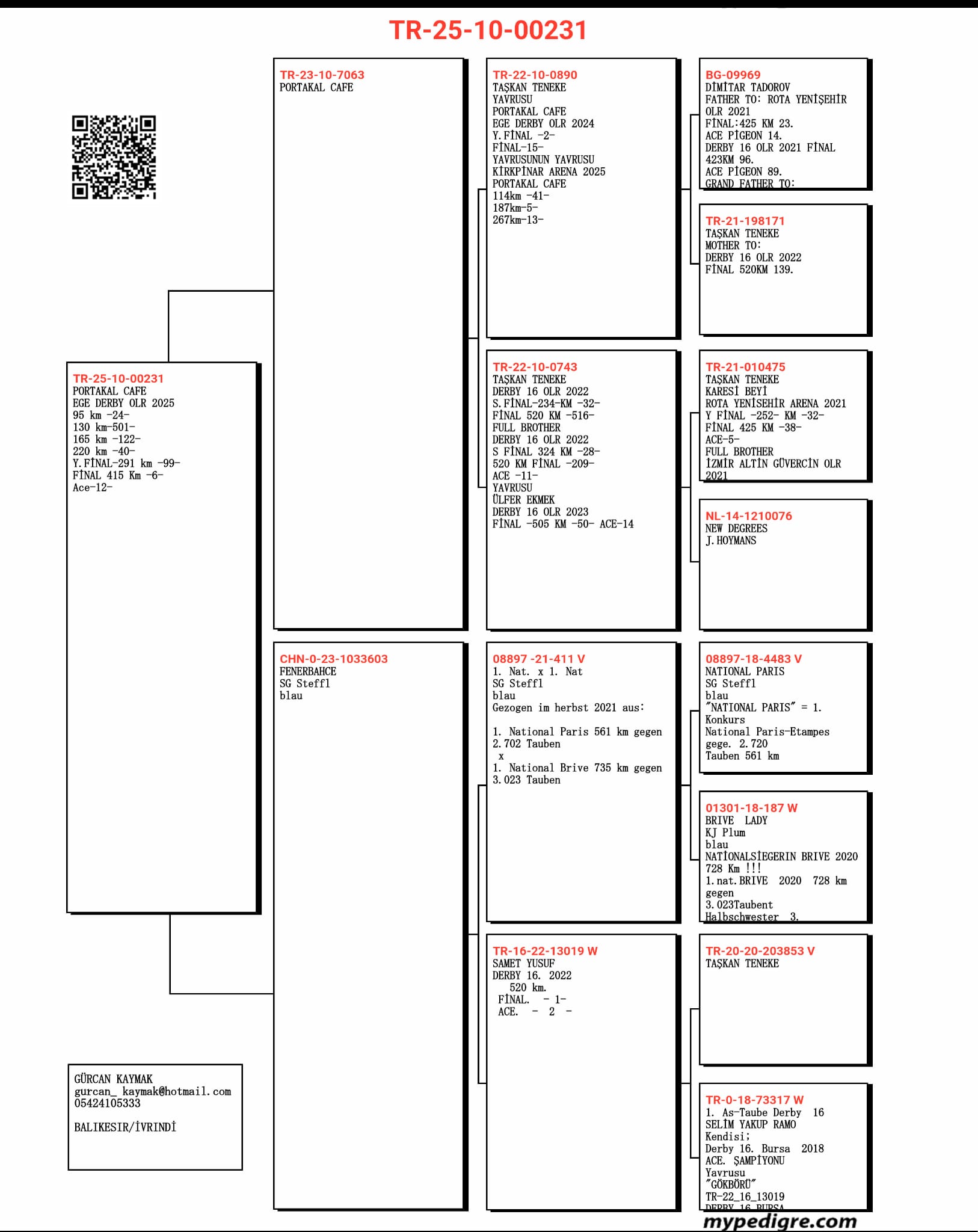 TR25-10-00231 / PORTAKAL CAFE - 6 FİNAL 415 KM  & 12 AS