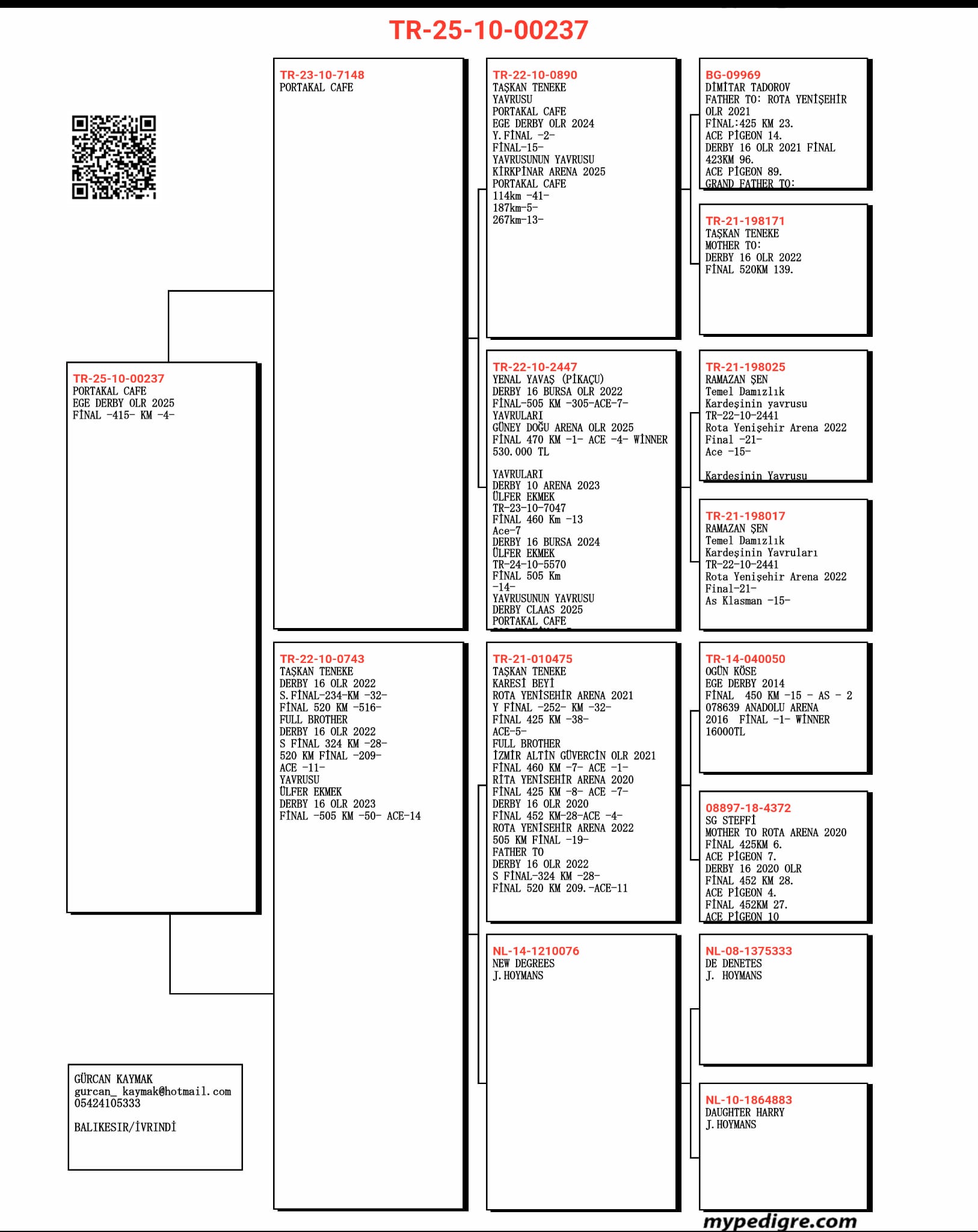 TR25-10-00237 / PORTAKAL CAFE - 4 FİNAL 415 KM & 49 AS