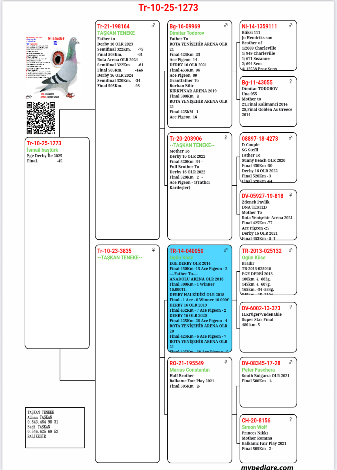 TR25-10-01263 / ENGİN KAPTAN - İSMAİL BAŞT&Uuml;RK - 45 FİNAL  & 46 AS