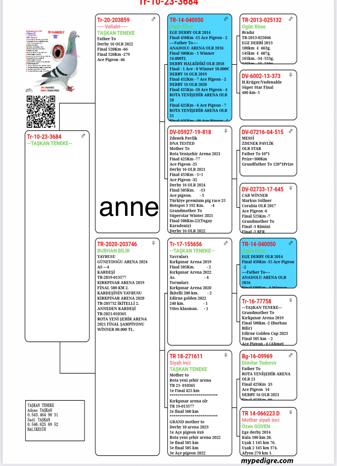 TR25-10-01275 / İSMAİK BAŞT&Uuml;RK & ENGİN KAPTAN  - 43 FİNAL & 98 AS