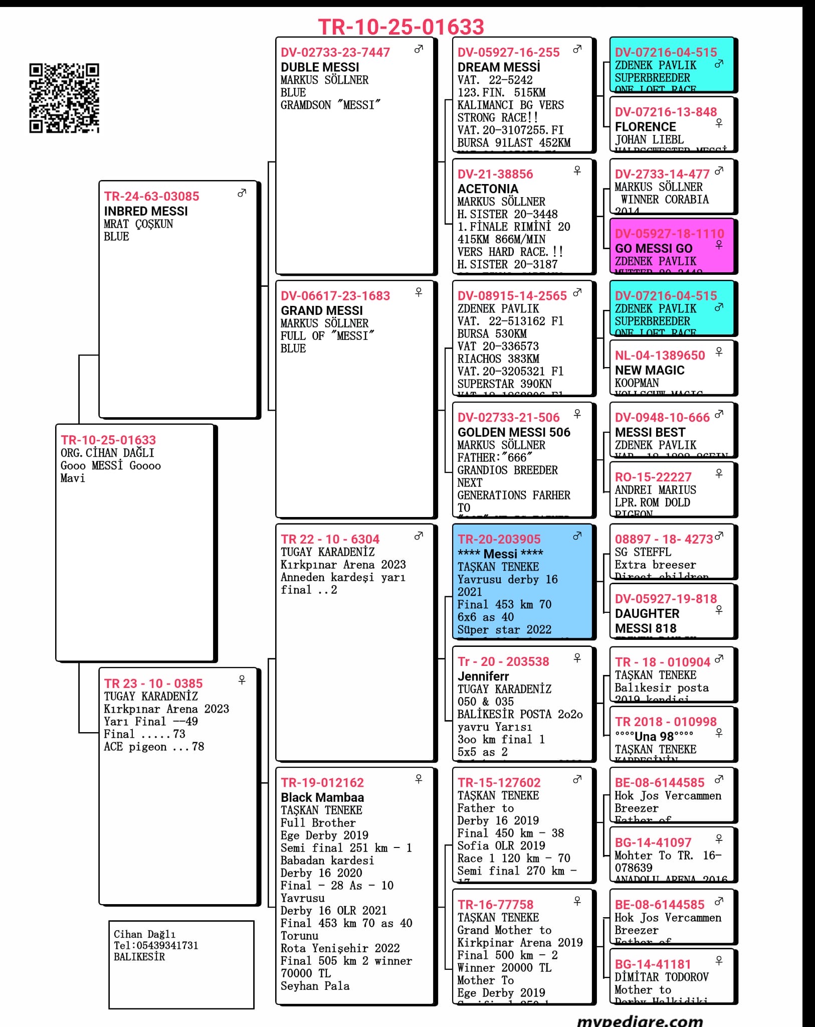 TR25-10-01633 / CİHAN DAĞLI - 124 FİNAL