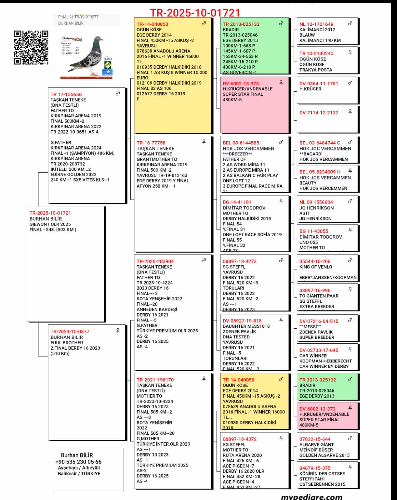 TR25-10-01721 / KENDİSİ GIEWONT YARISMIS DİREK 050 TORUNU