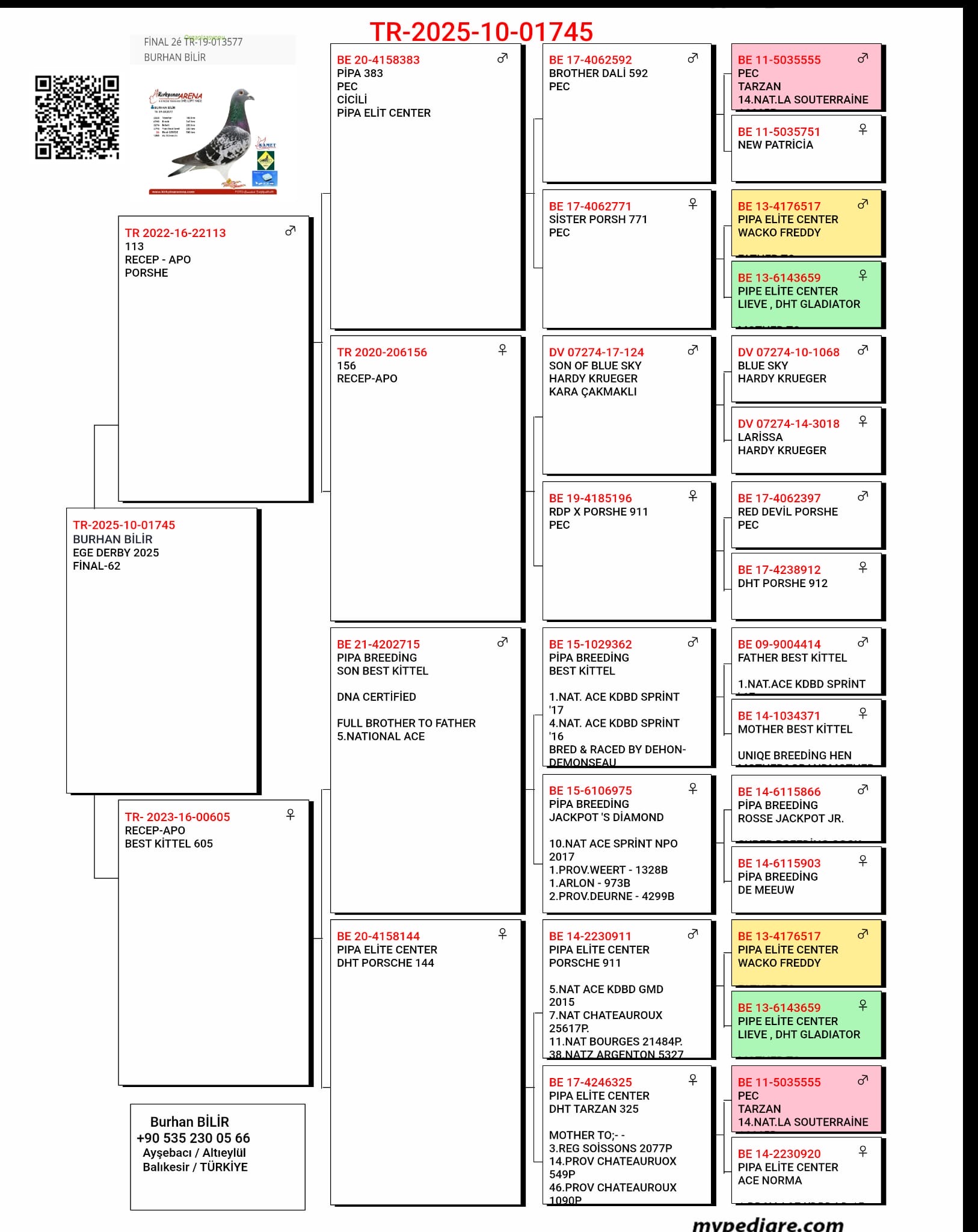 TR25-10-01745 / BURHAN BİLİR  - 62 FİNAL & 57 AS