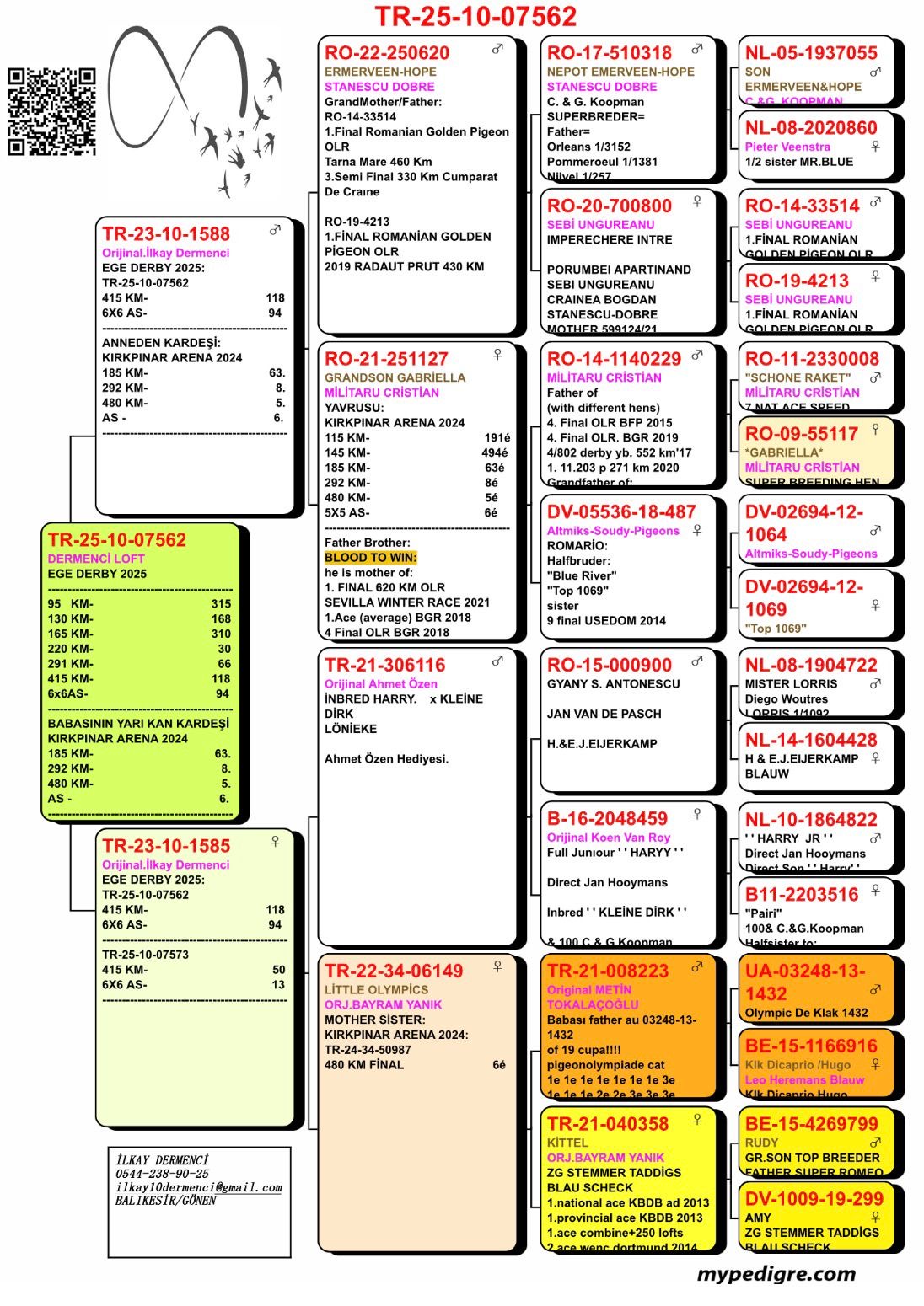TR25-10-07562 / DEMİRCİ LOFT  - 118 FİNAL