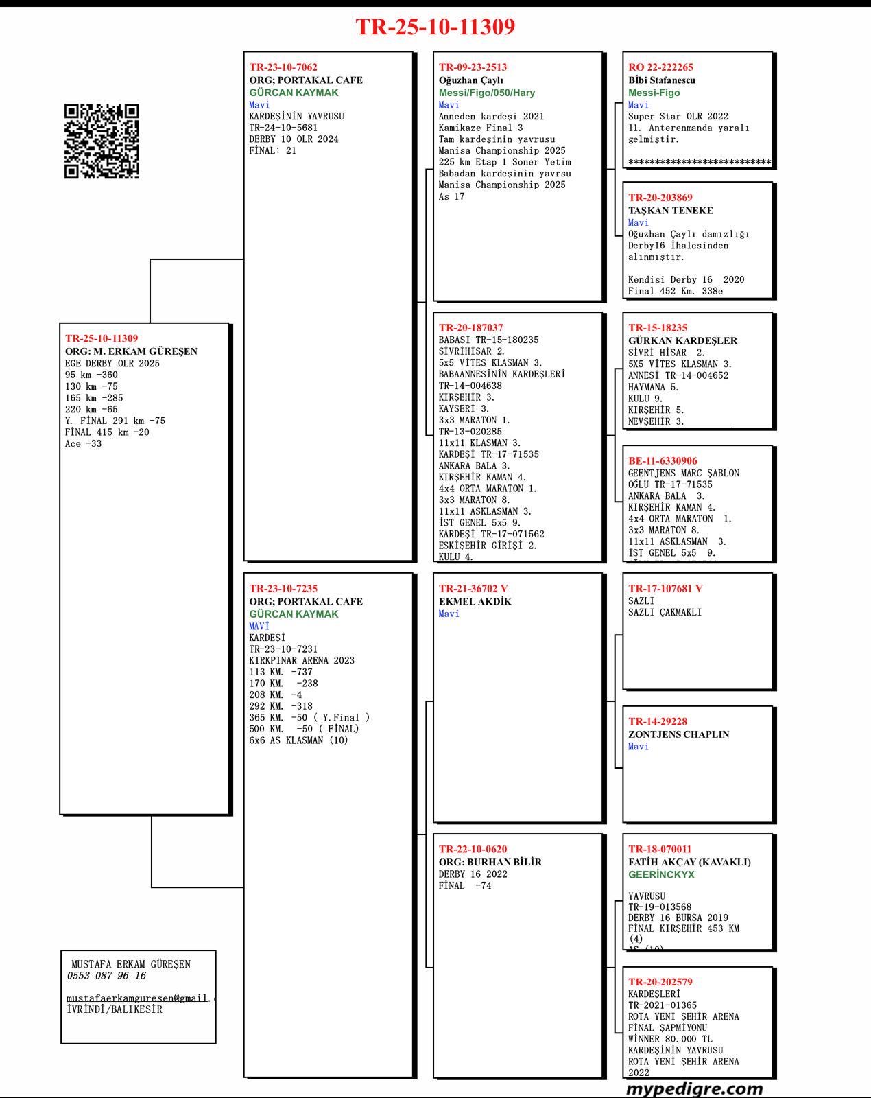 TR25-10-11309 / M. ERKAN GÜRESEN - 20 FİNAL  & 33 AS