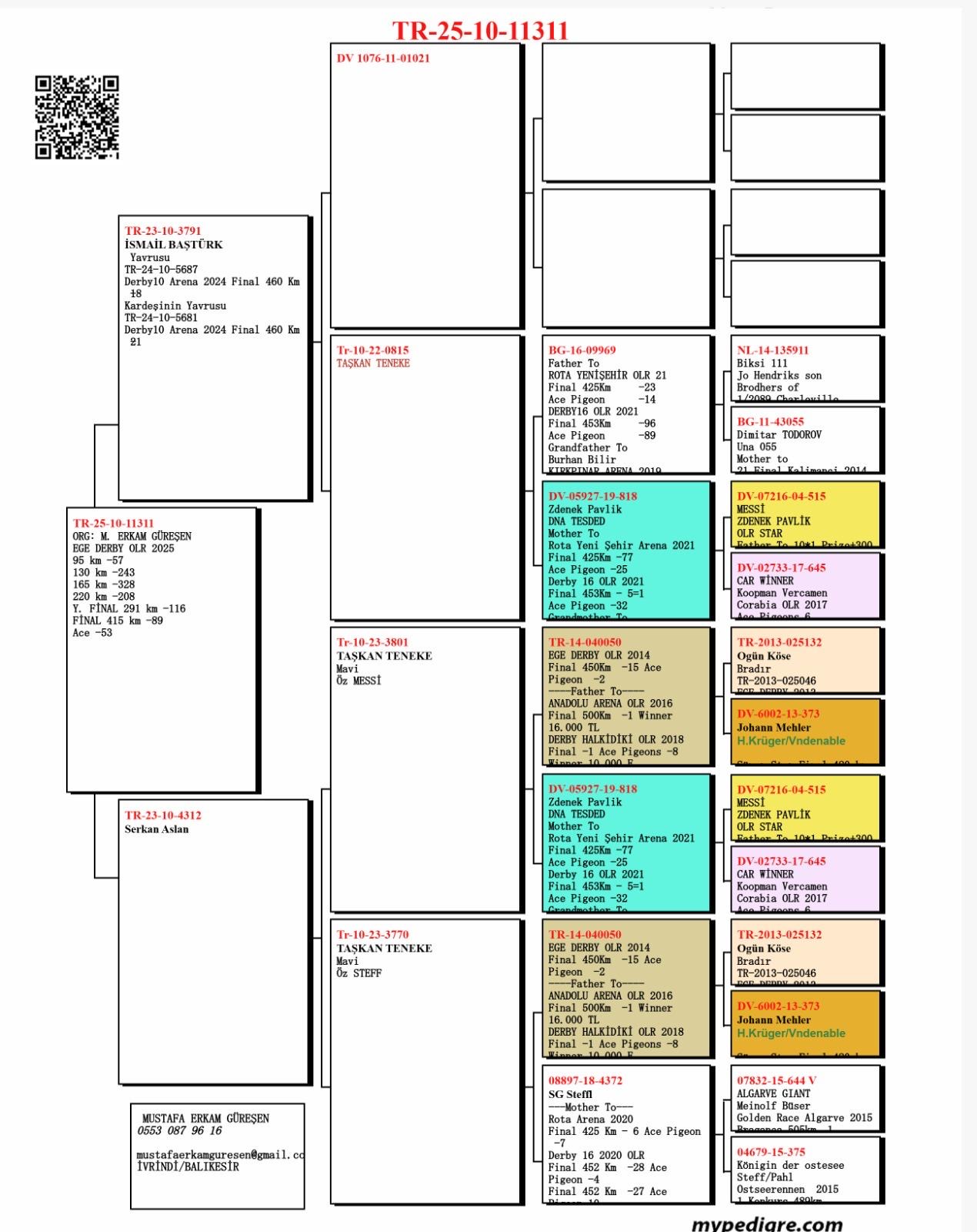 TR25-10-11311 / M. ERKANM G&Uuml;RESEN  - 89 FİNAL - 53 AS