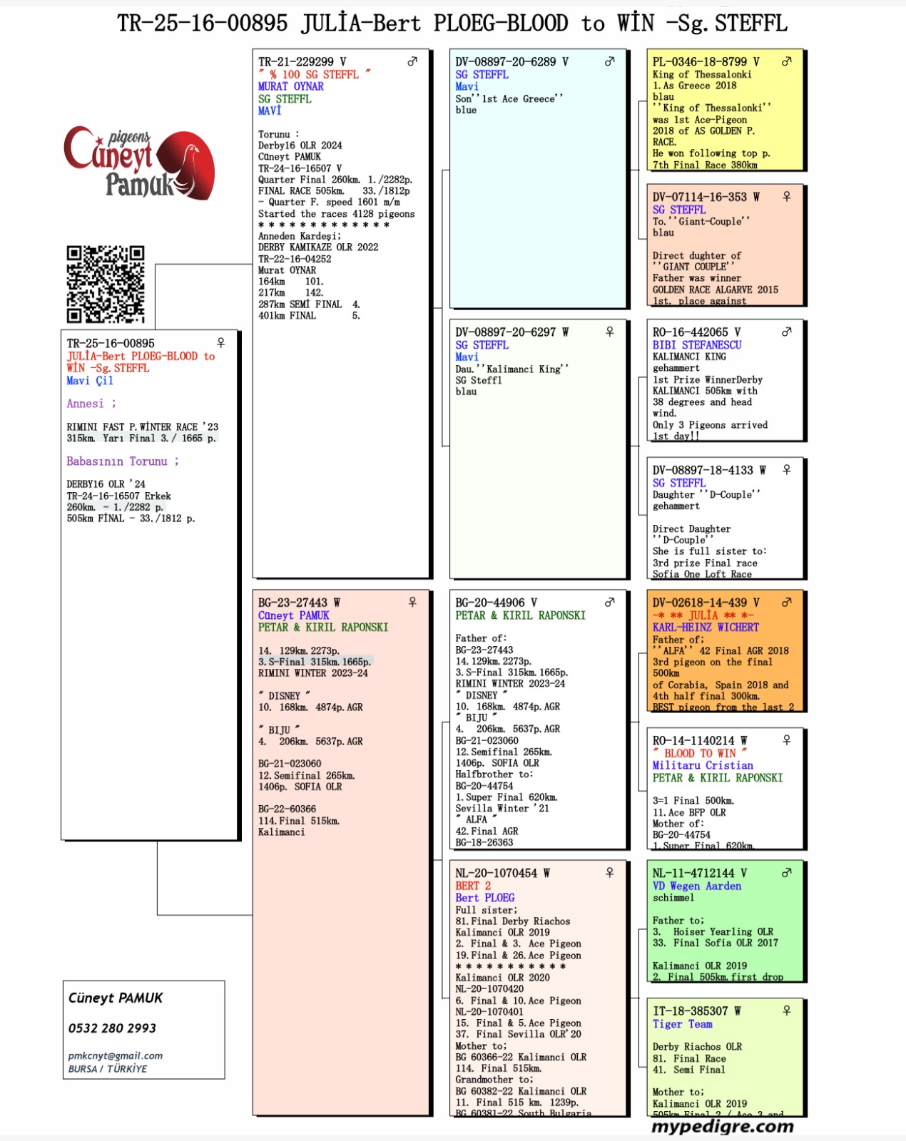 TR25-16-00895 DİŞİ / BABASI SG STEFFL ANNESİ BERT PLOEG