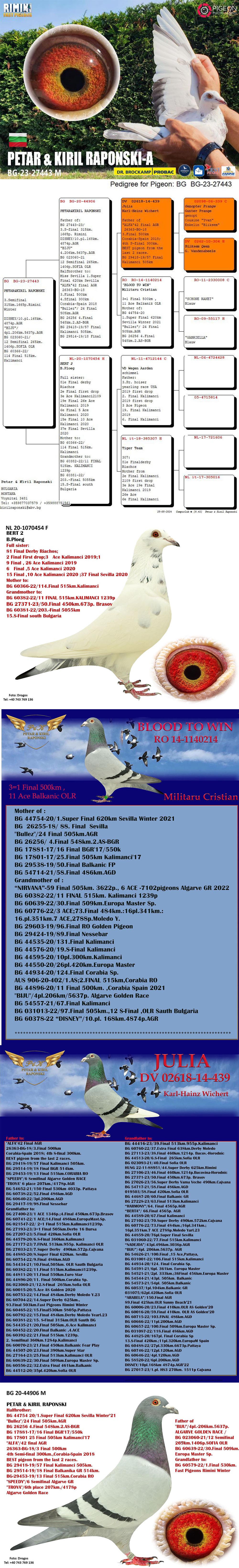 TR25-16-00895 DİŞİ / BABASI SG STEFFL ANNESİ BERT PLOEG