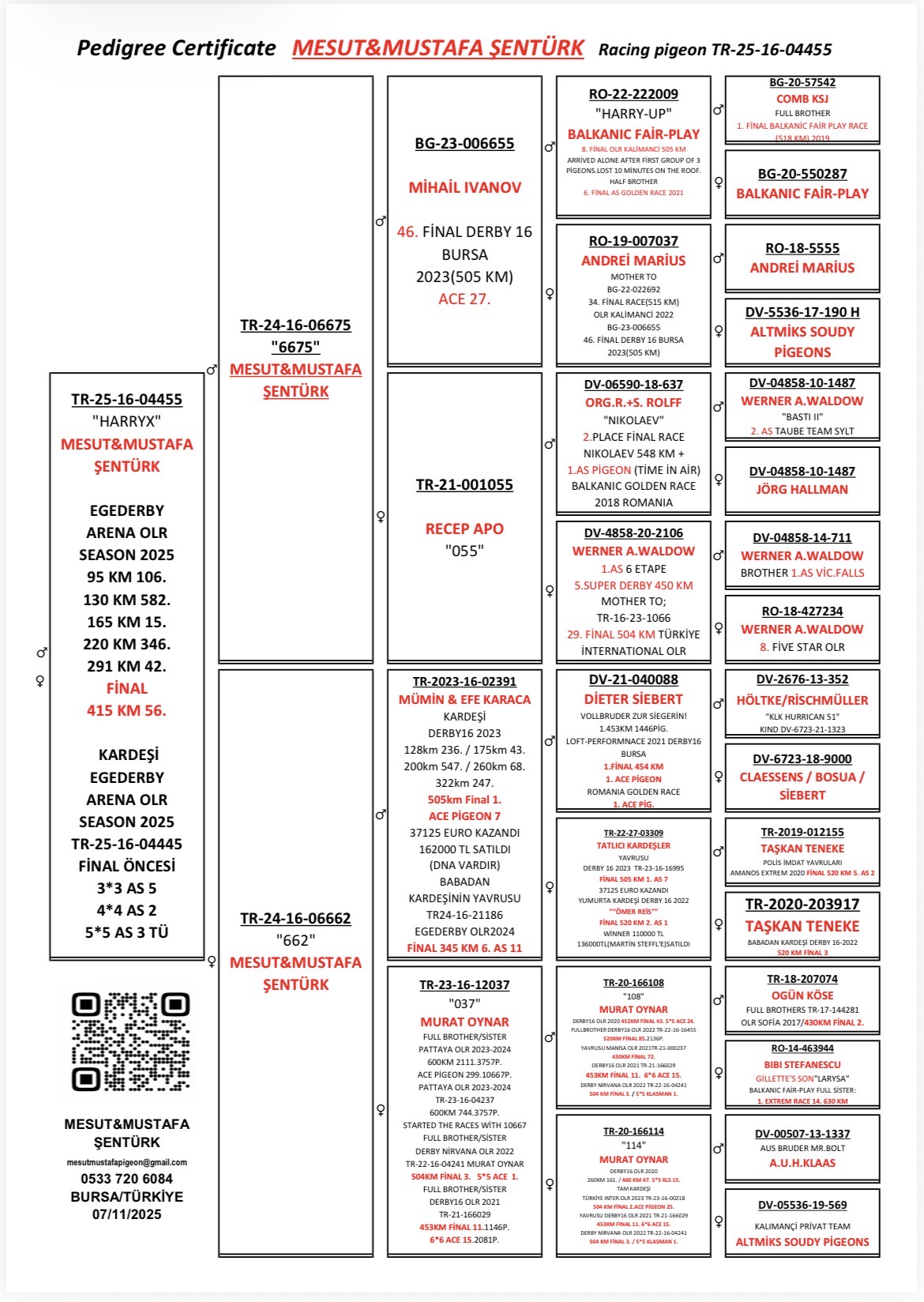 TR25-16-04455 / MESUT ŞENT&Uuml;RK - 56 FİNAL 