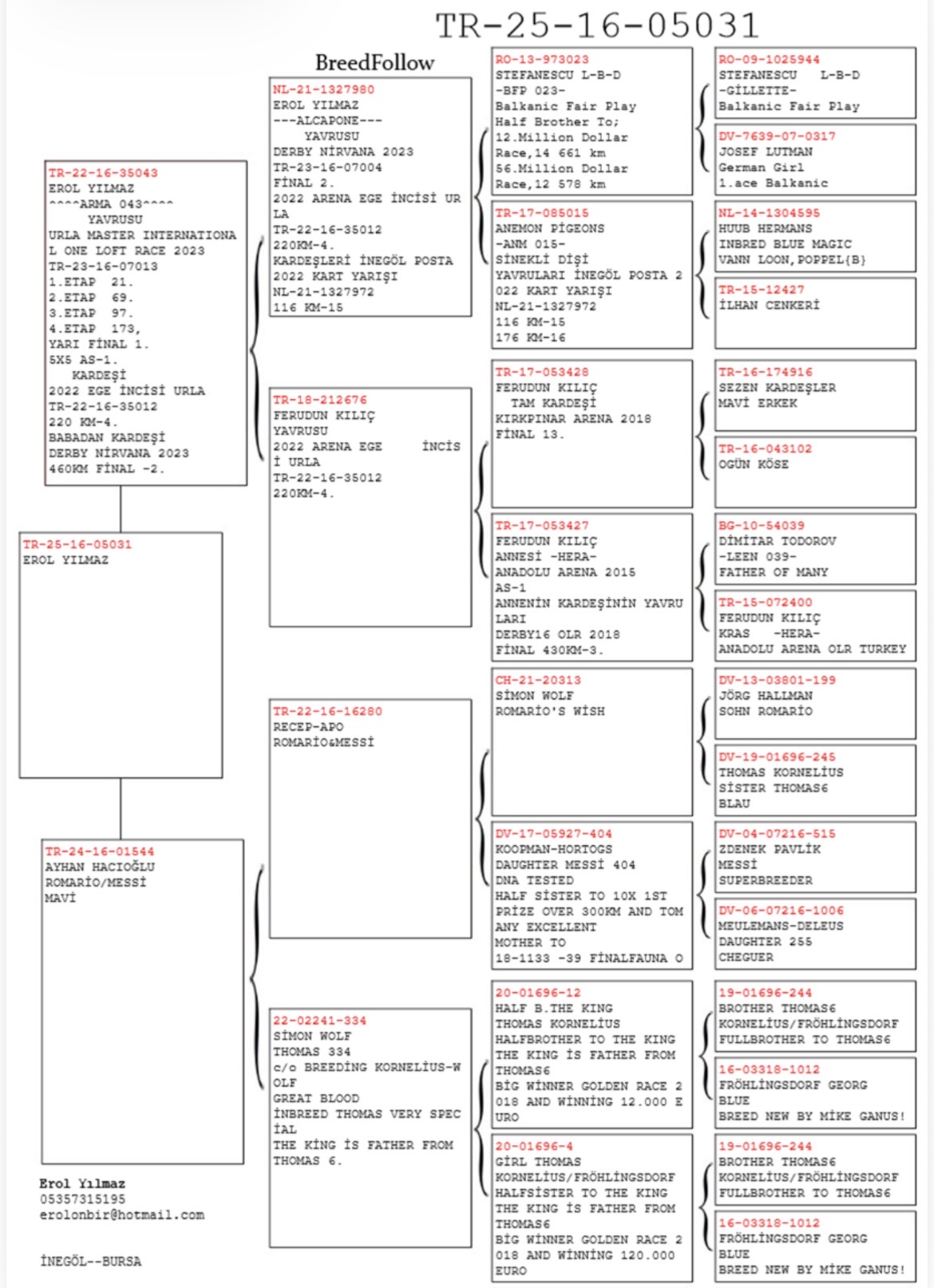TR25-16-05031 / EROL CAN YILMAZ  - 129 FİNAL