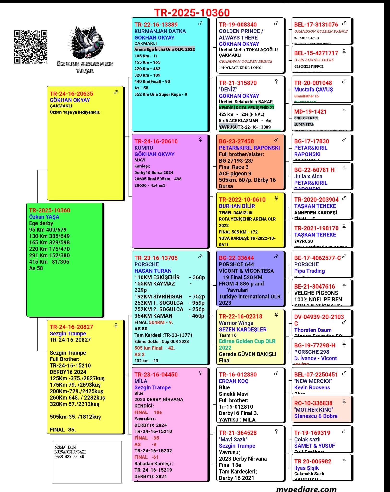 TR25-16-10360 / &Ouml;ZKAN & EGEMEN YASA - 81 FİNAL  & 58 AS