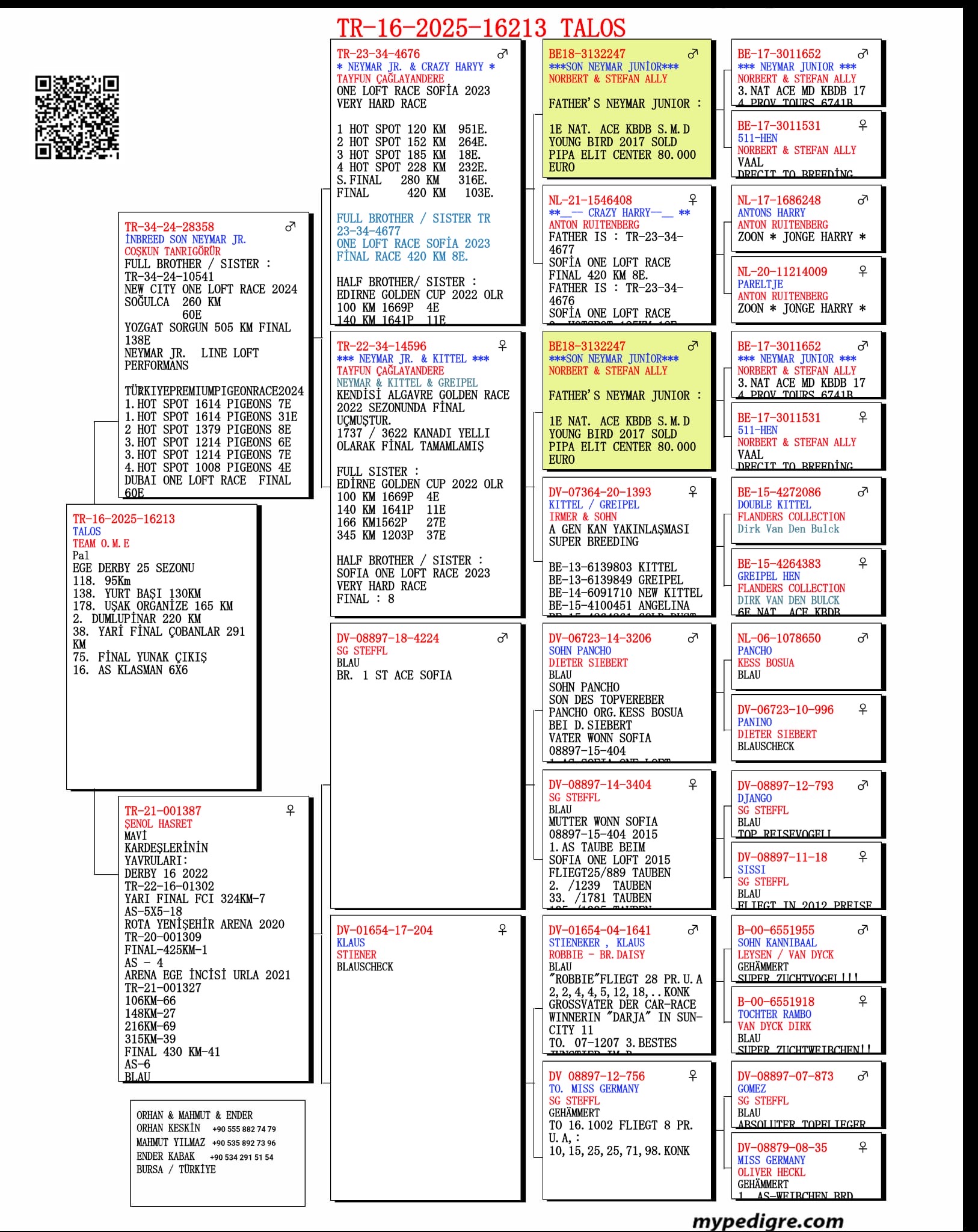 TR25-16-16213 / TEAM O.M.E - 75 FİNAL  & 16 AS