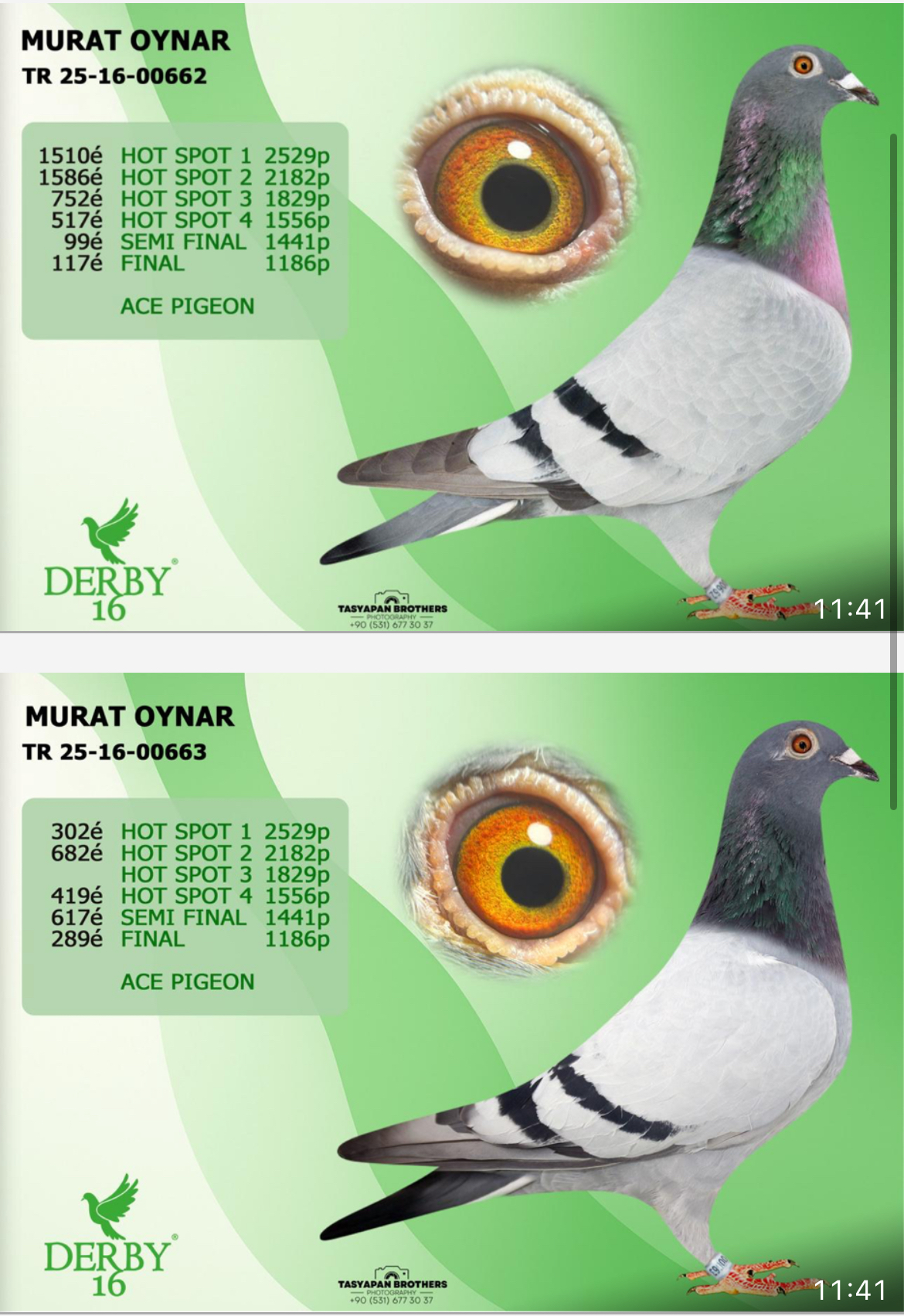 TR25-16-17004 / MURAT OYNAR  - 41 FİNAL & 67 AS 