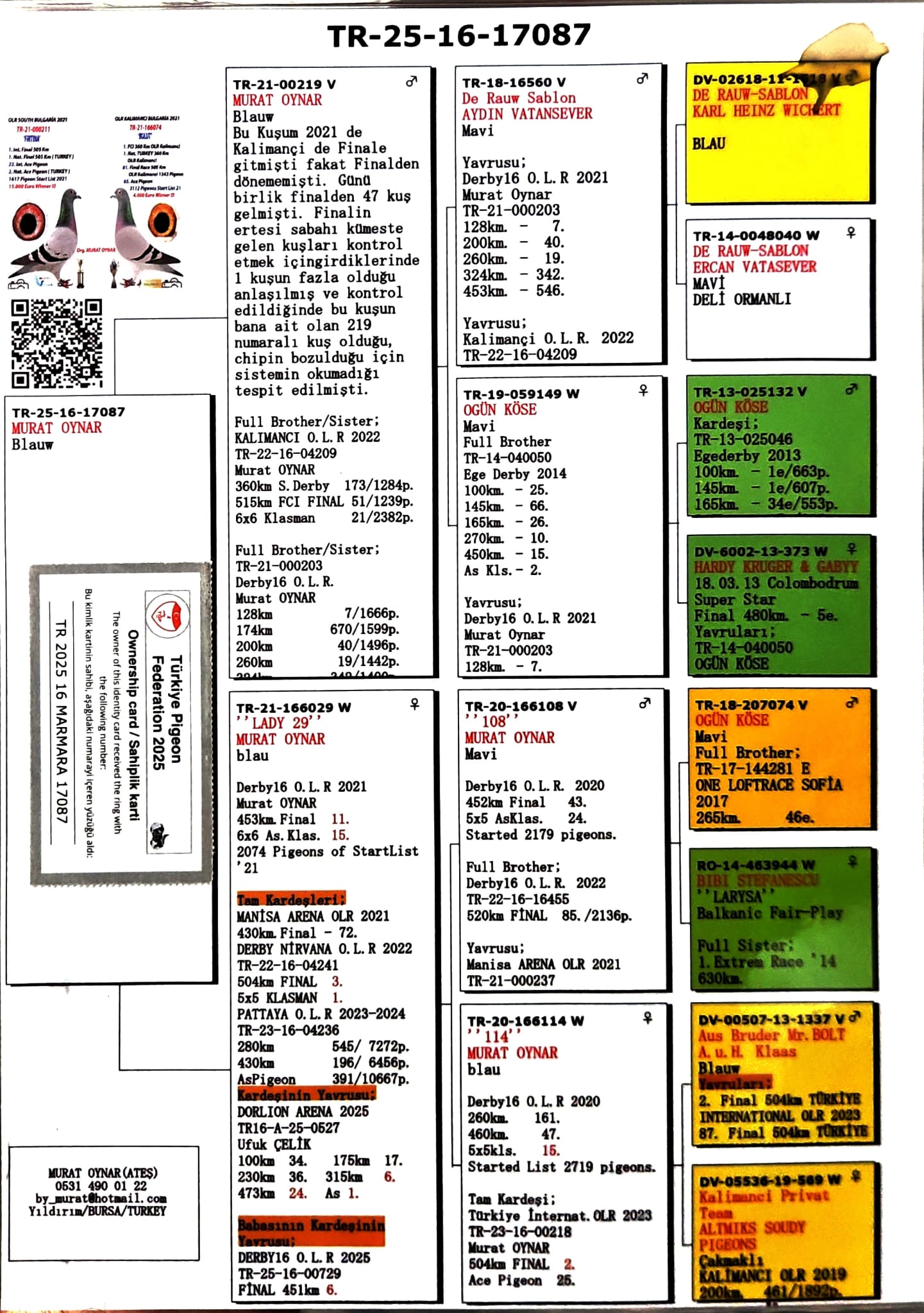 TR25-16-17087 ERKEK / BABASININ KARDEŞİ 51 FİNAL KALIMANCI ANNESİ 11 FİNAL DERBY16