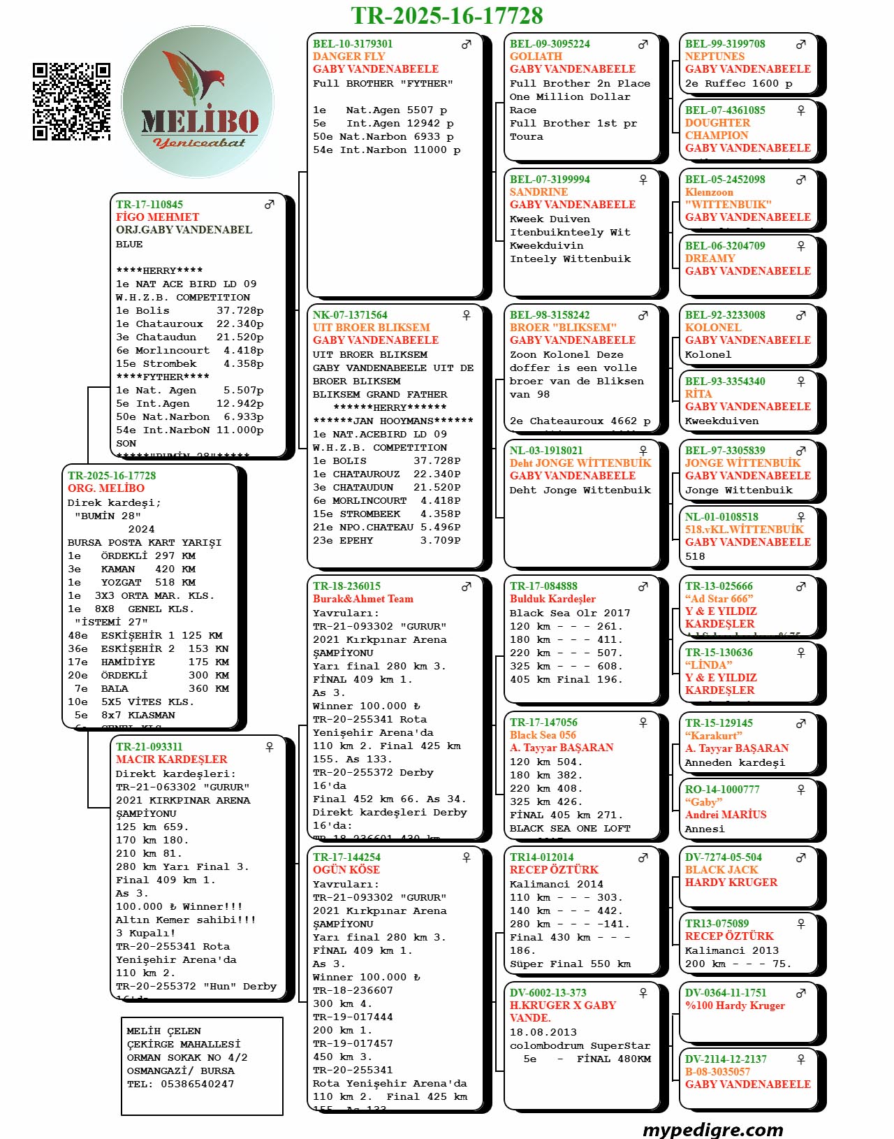 TR25-16-17728 / DİREK KARDEŞİ BUMİN 28 & İSTEMİ 27