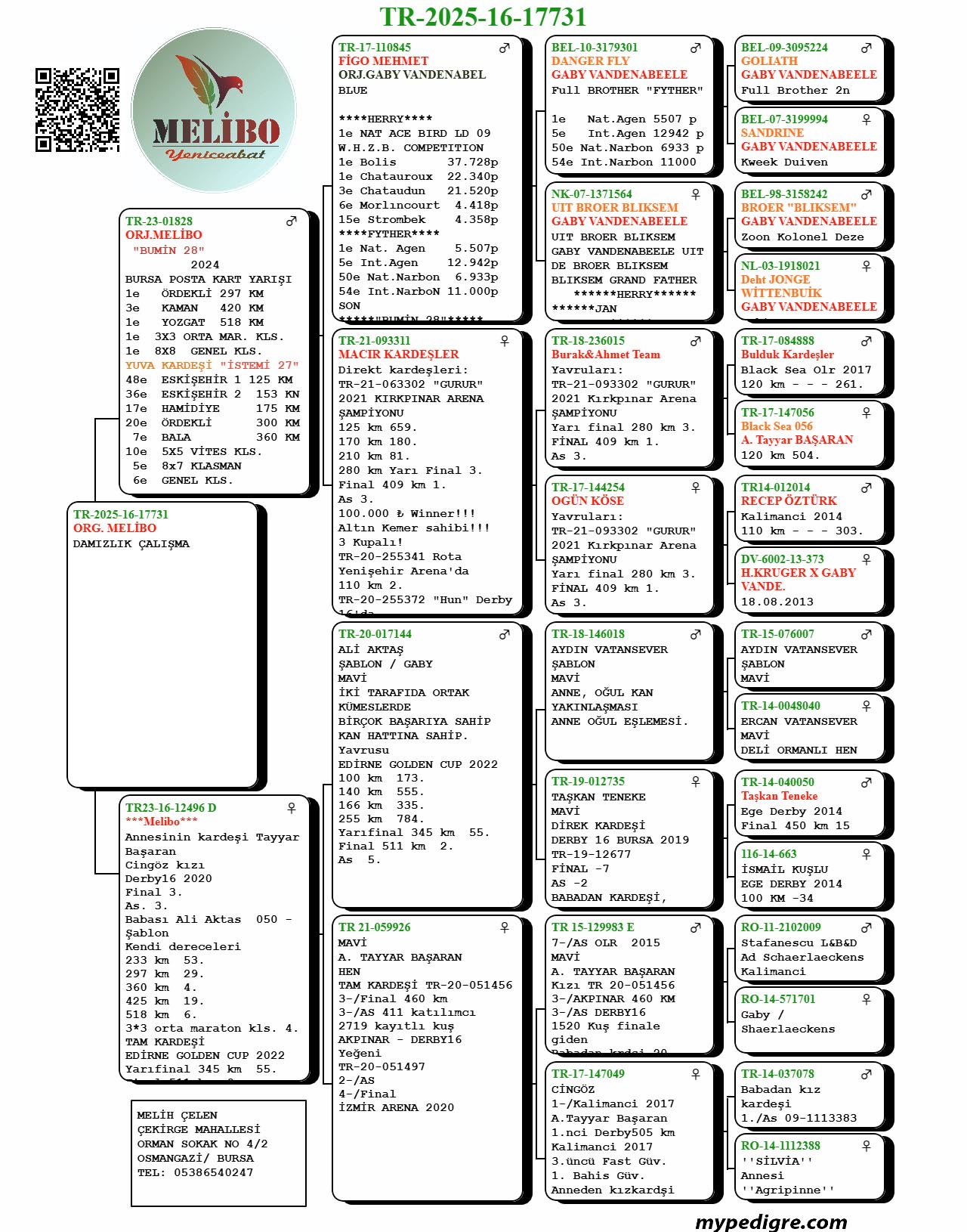 TR25-16-17731 / BUMIN 28  ANNESİ CİNG&Ouml;Z SOYU