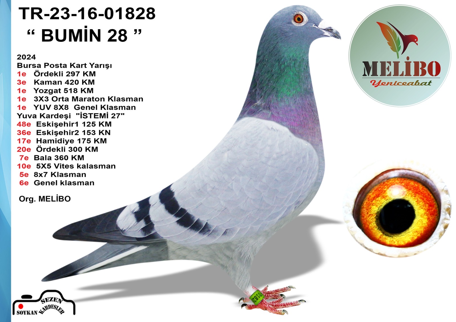 TR25-16-17731 ERKEK  / BUMIN 28  ANNESİ CİNG&Ouml;Z SOYU