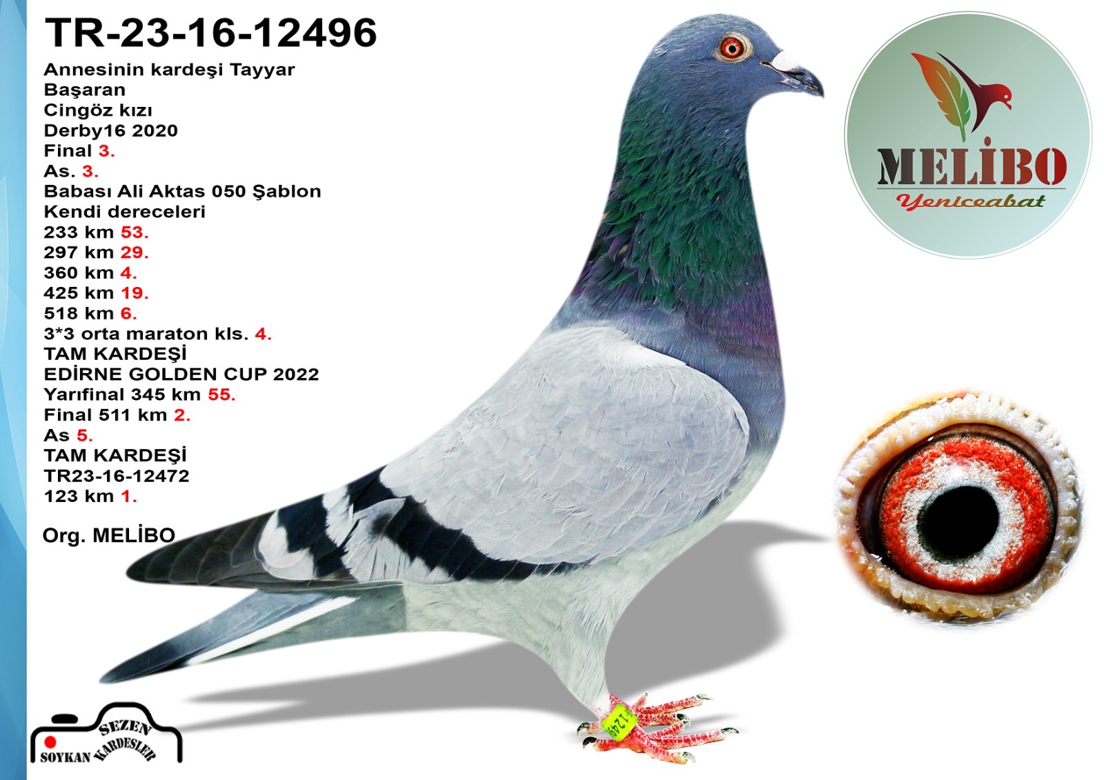 TR25-16-17731 ERKEK  / BUMIN 28  ANNESİ CİNG&Ouml;Z SOYU