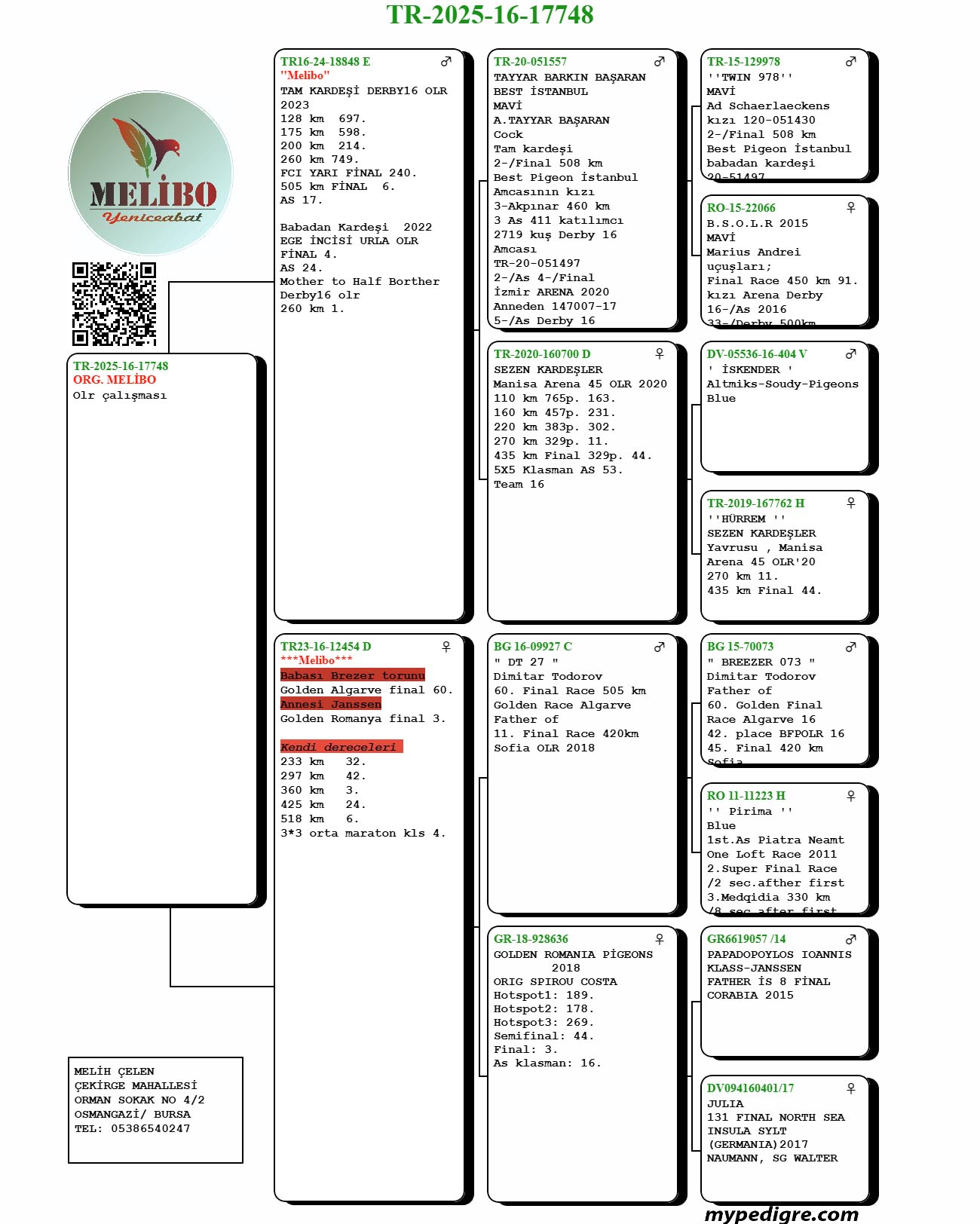TR25-16-17748 /  ANNESİ -  4 ORTA MARATON KLASMAN 