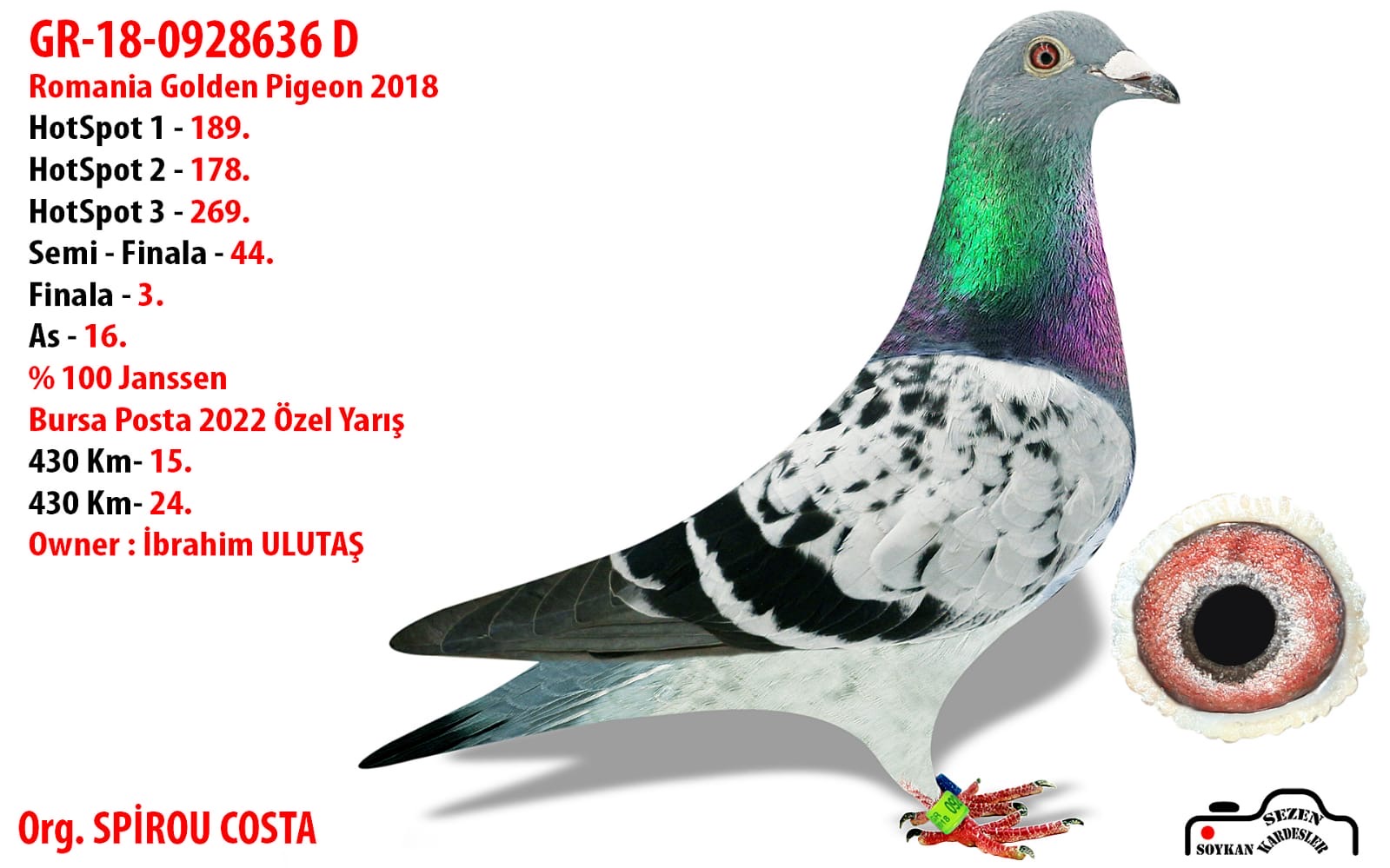 TR25-16-17748 DİŞİ /  ANNESİ -  4 ORTA MARATON KLASMAN 